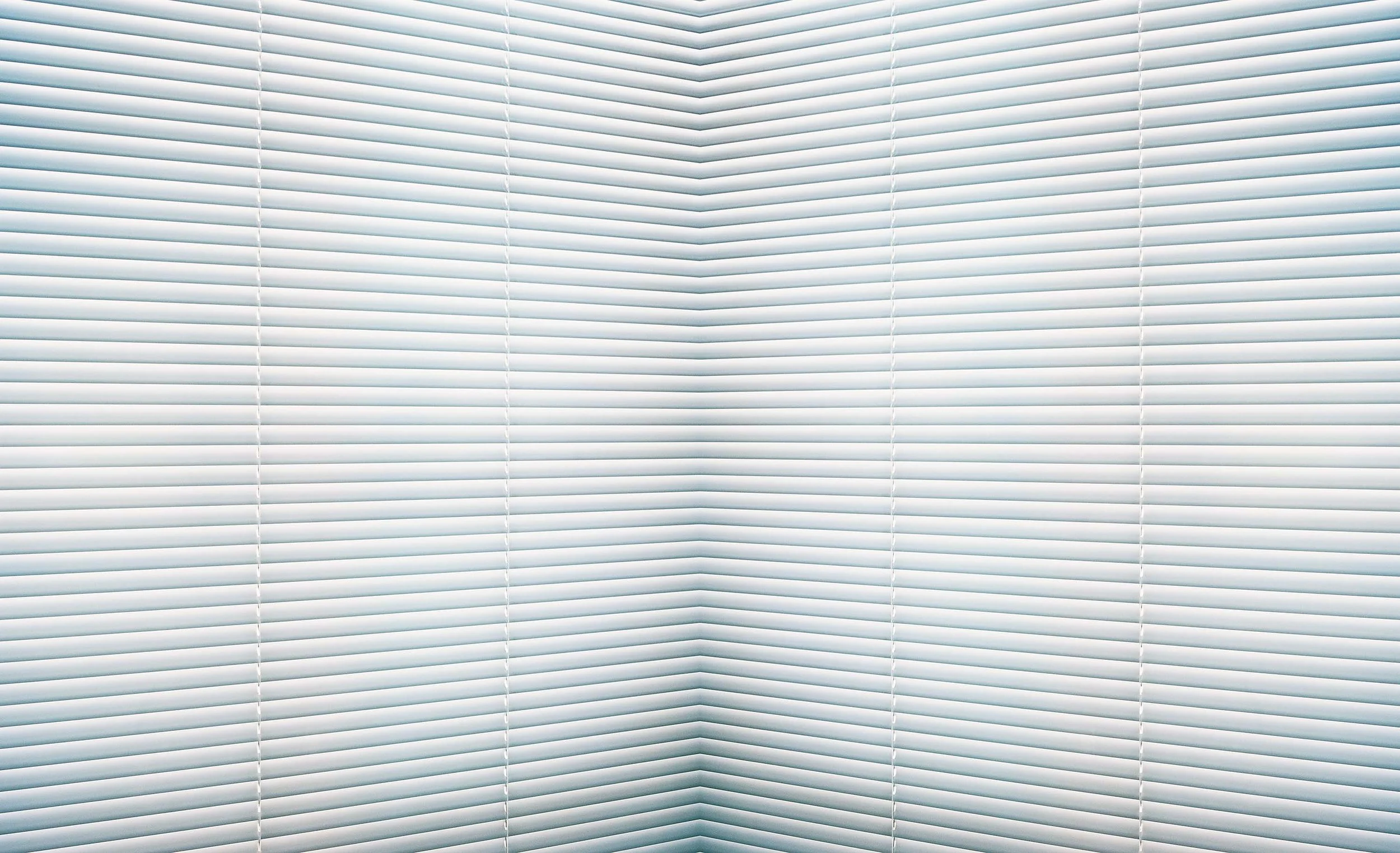 The Blind Spot, 2008