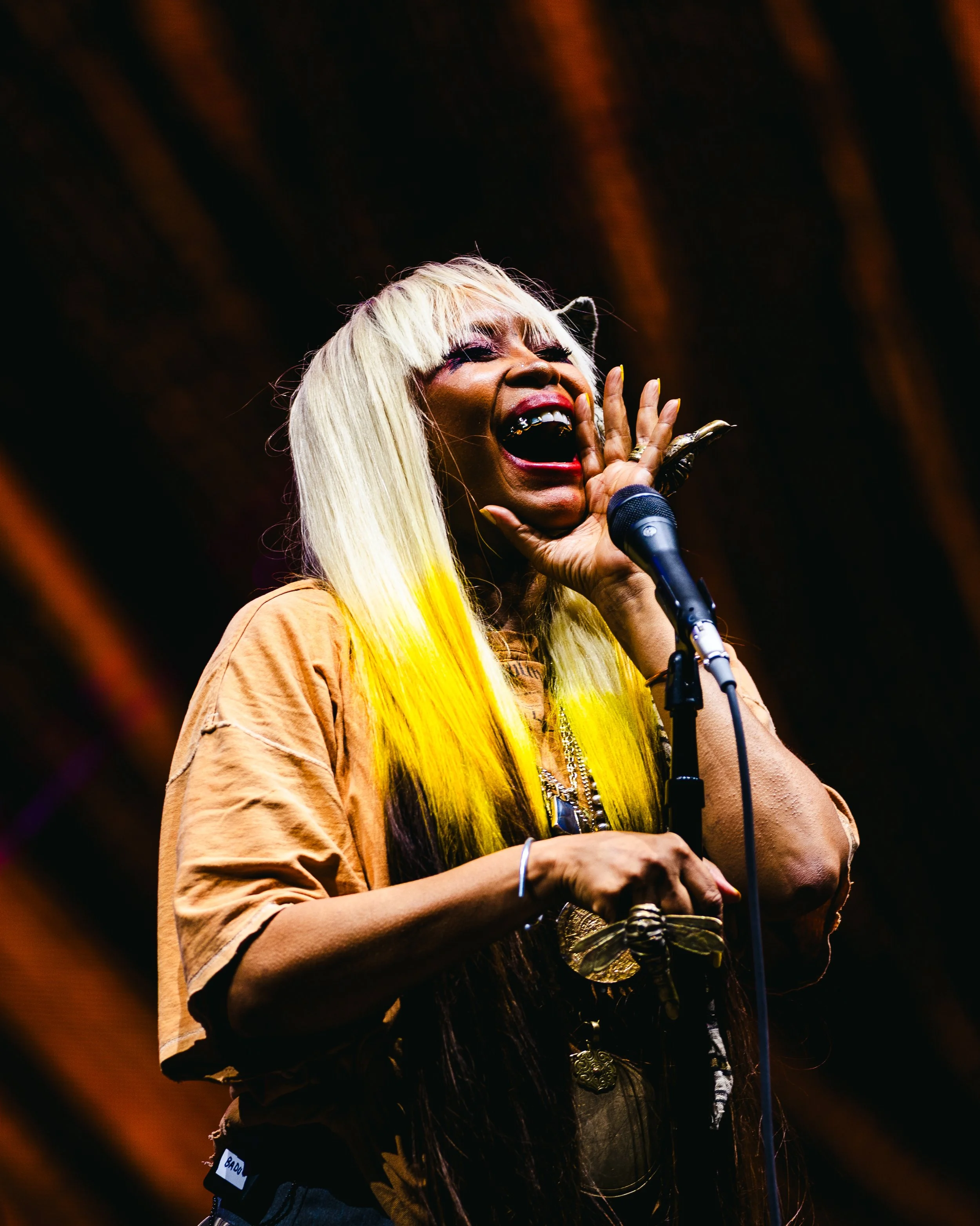 rootspicnic-396.jpg