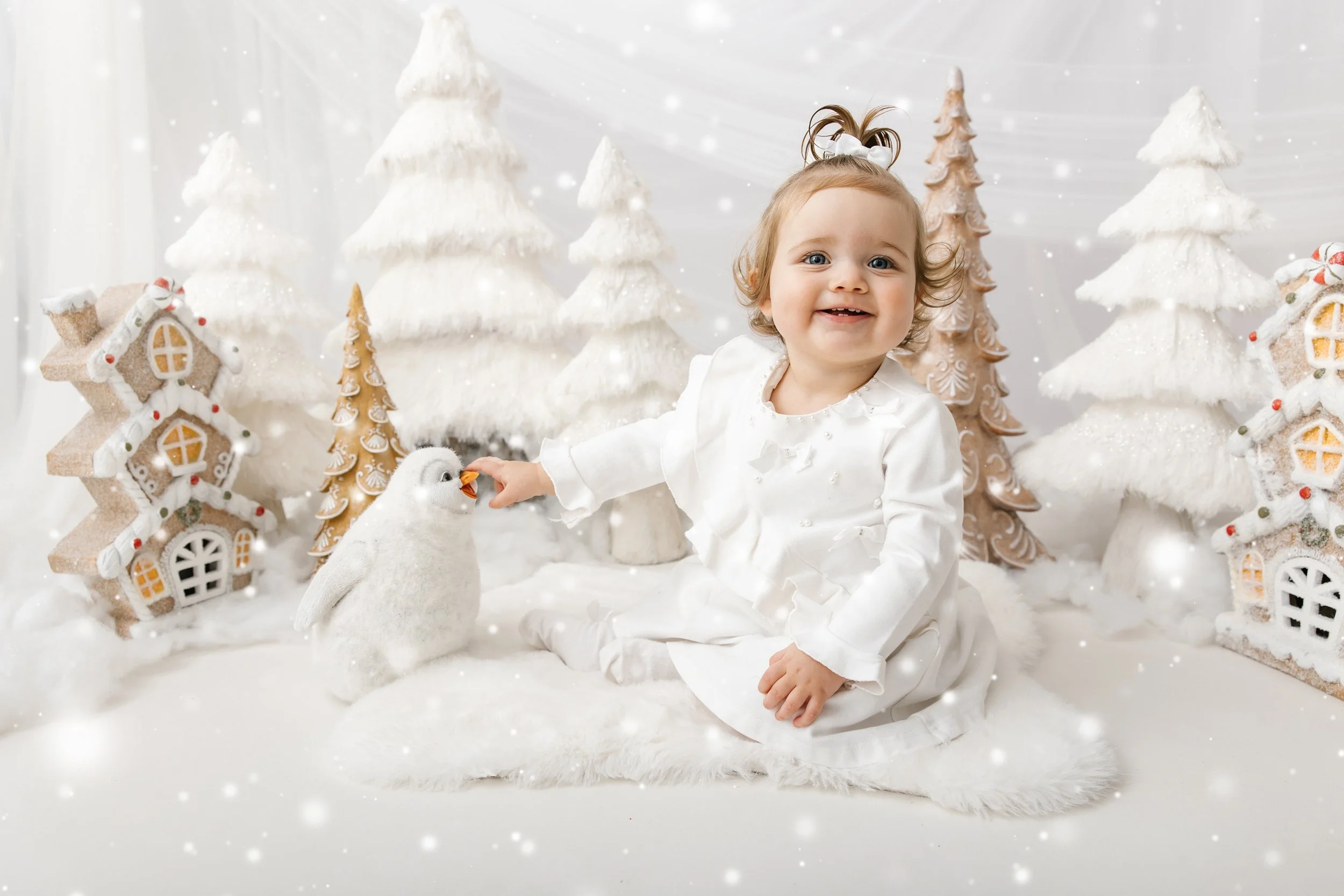 DWP_1186 copys (1).jpg