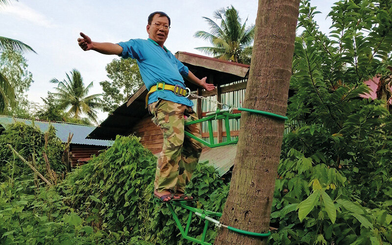 Tree climb tool for coconuts trees, etc. 