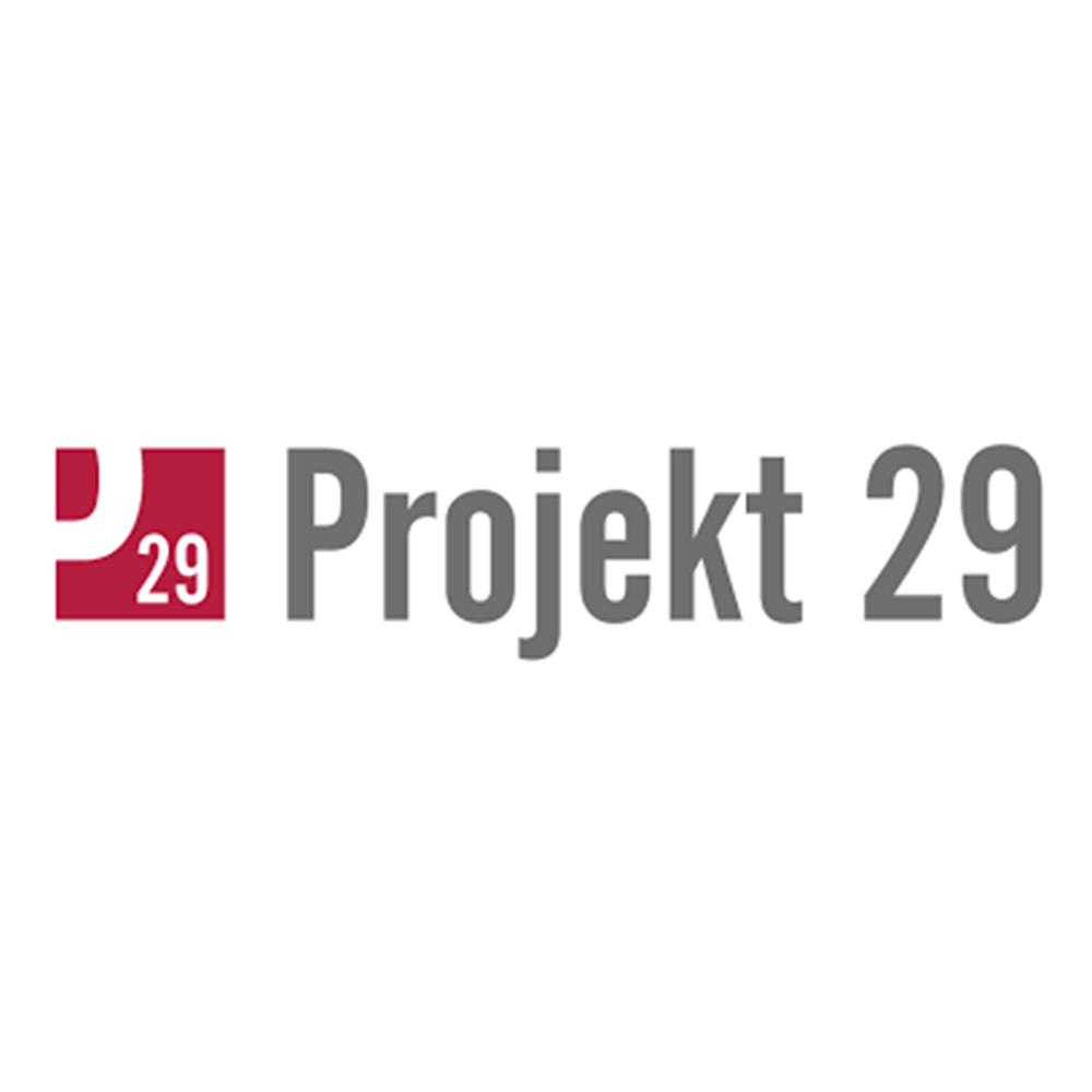 projekt 29.png