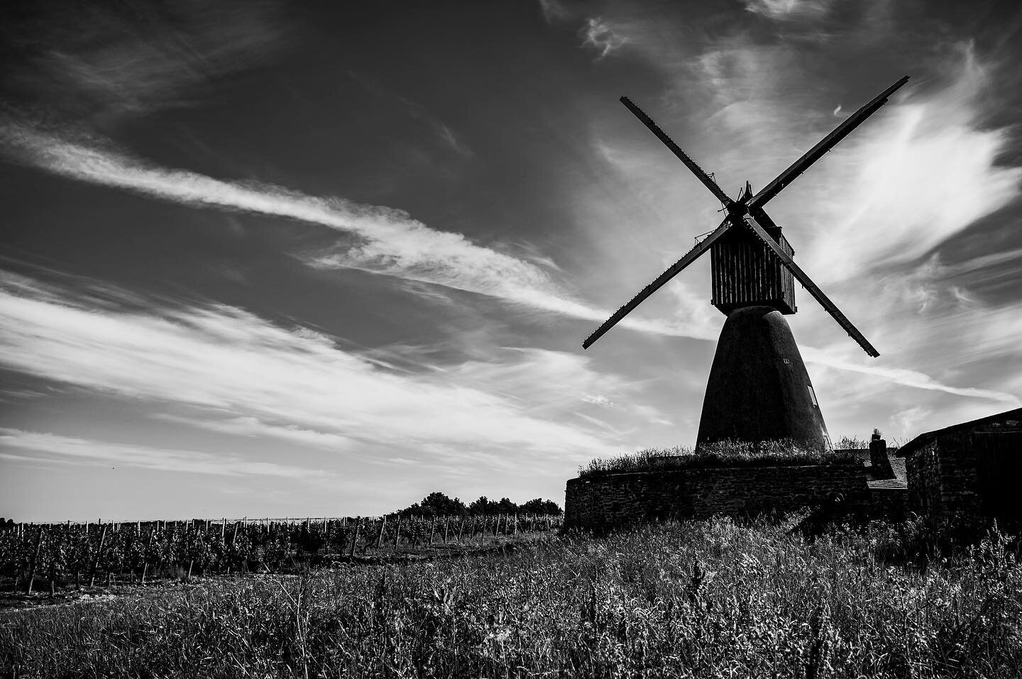 Petite ballade photo chez nos vignerons, de la Touraine aux Fiefs Vend&eacute;ens, en attendant le retour d&rsquo;un temps plus estival et de voir grossir les grappes de raisin
.
#photography #bnw #wine #winelover #wineaddict #gigault #noiretblanc #p