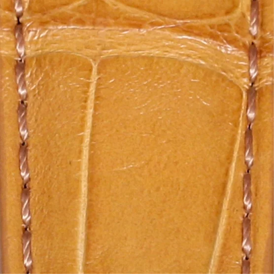 Biscuit