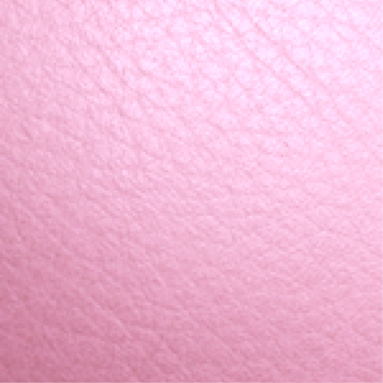 Pink Leather