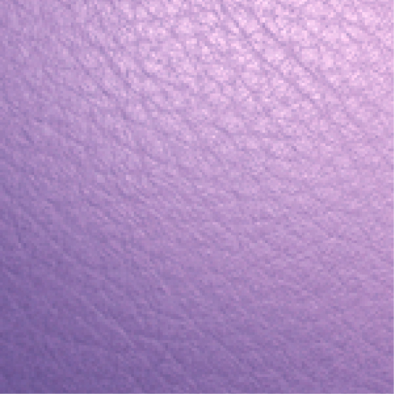 Lilac Leather