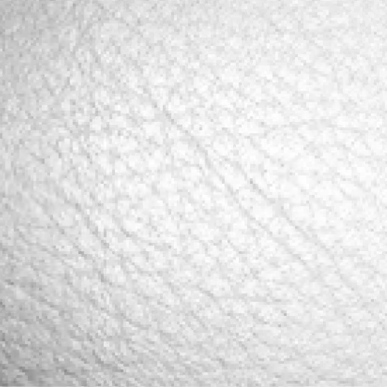 White Leather