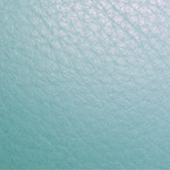 Indigo Leather