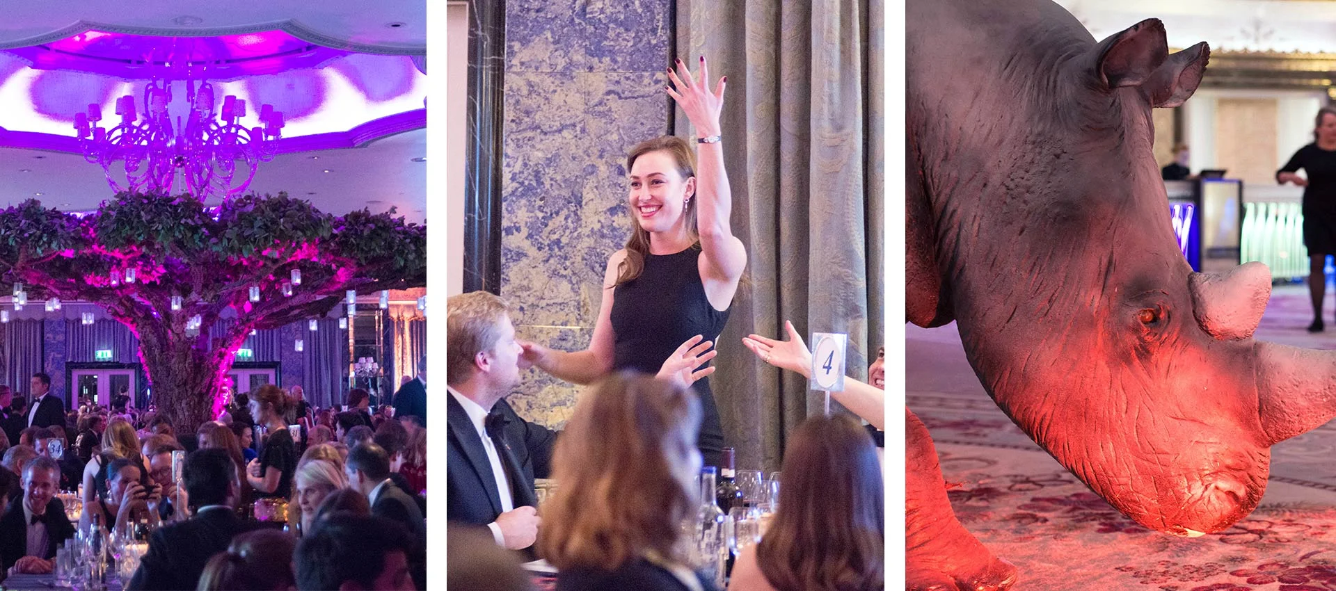 Backes & Strauss Philanthropy