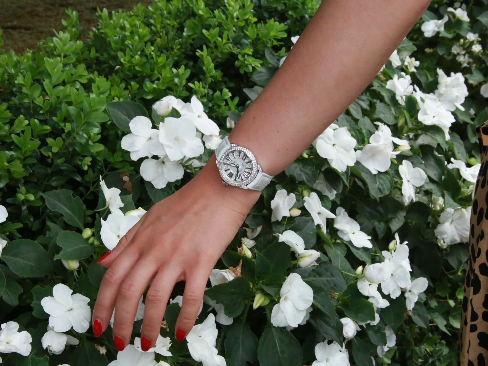 Piccadilly 33 luxury diamond watch for her