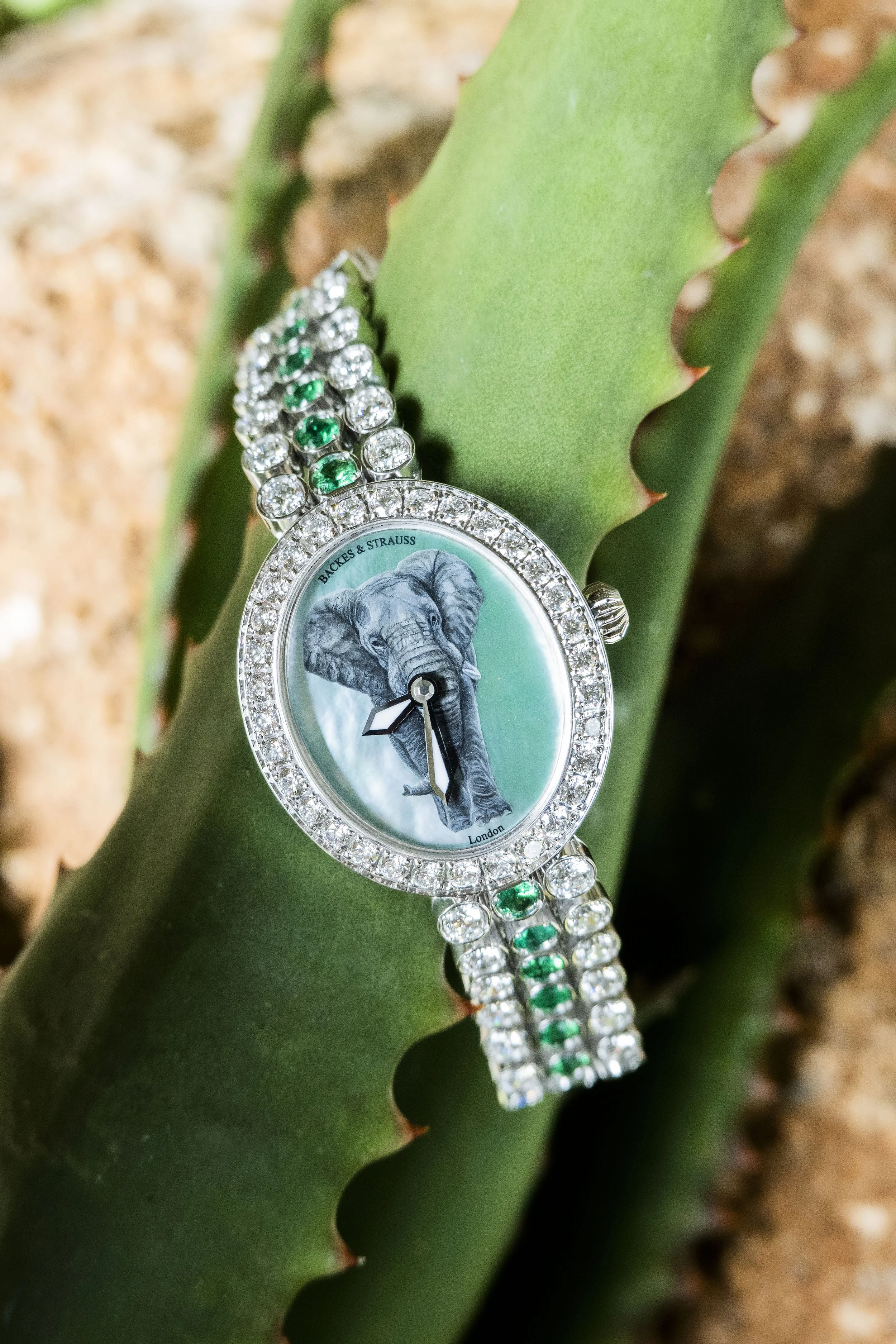 Green Africal Elephant Moodshot.jpg