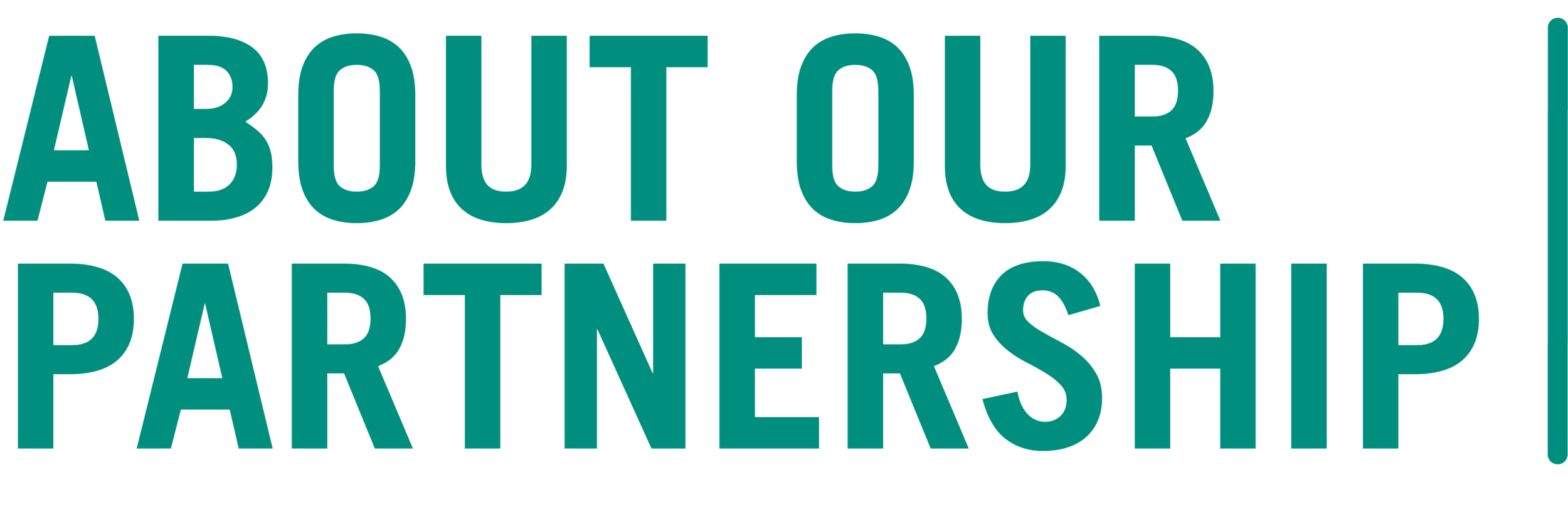 OUR PARTNERSHIP.png