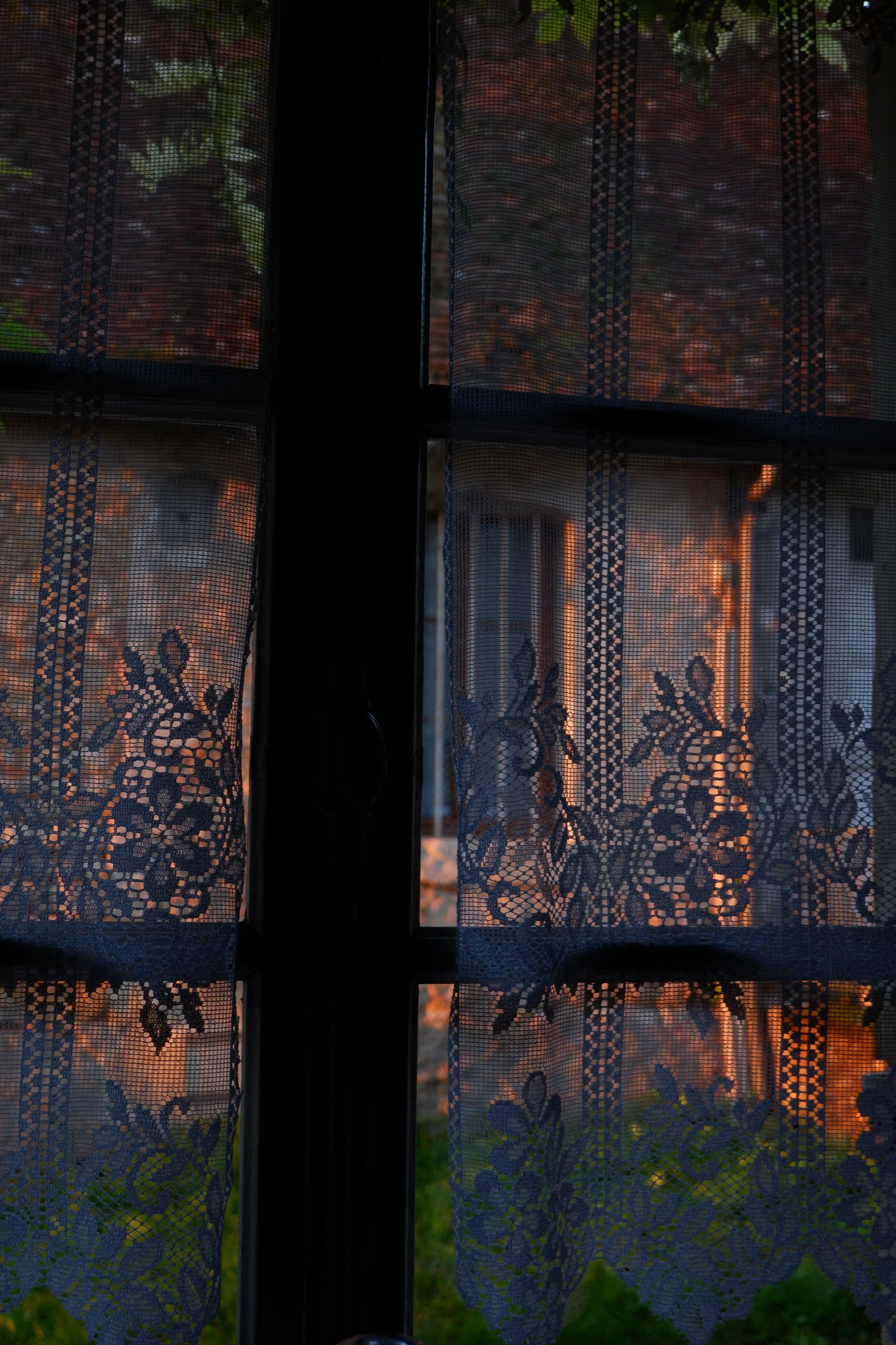 Kitchen Window