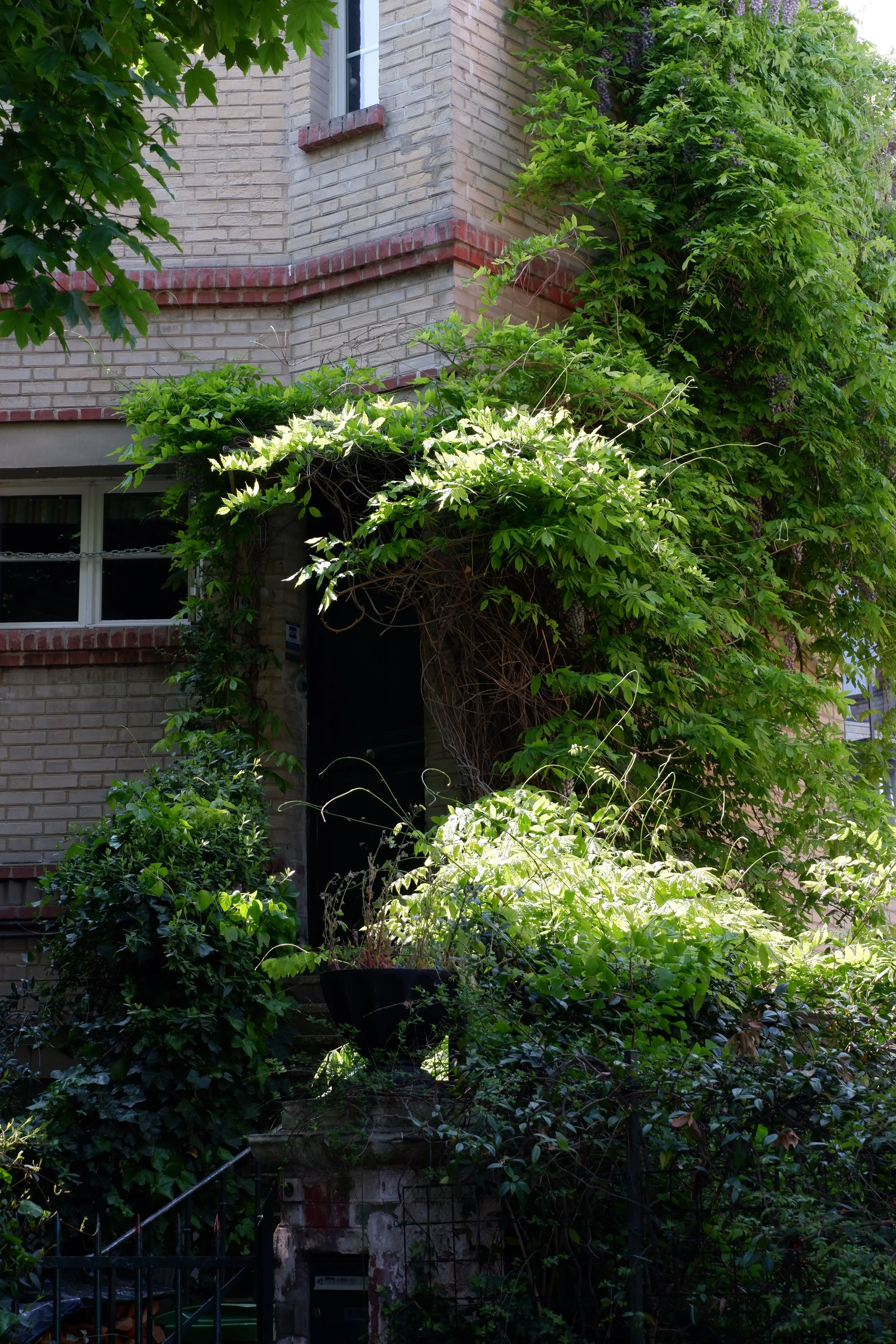 DSCF2598.JPG
