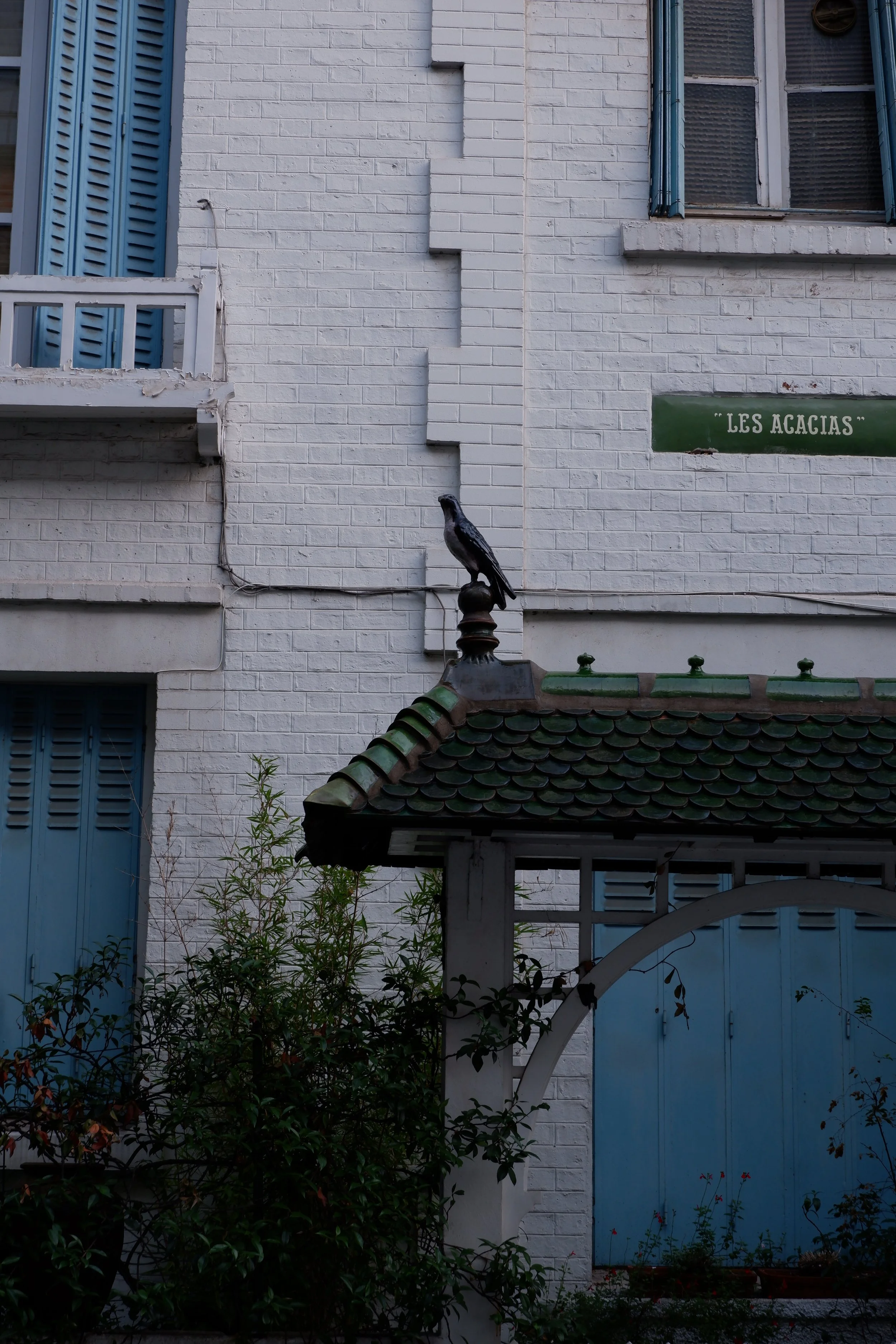 The Bird on White and Blue