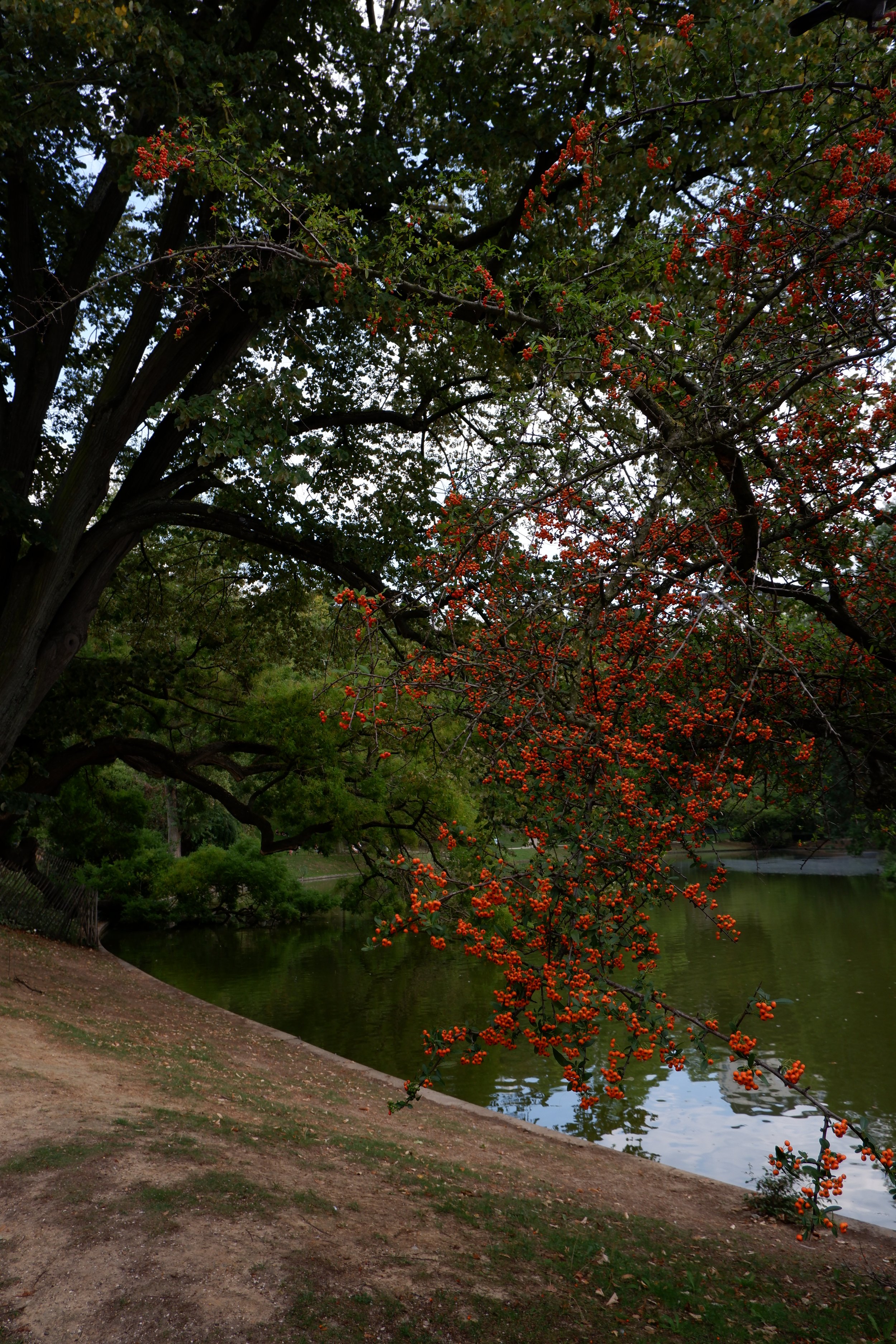 DSCF3361.JPG