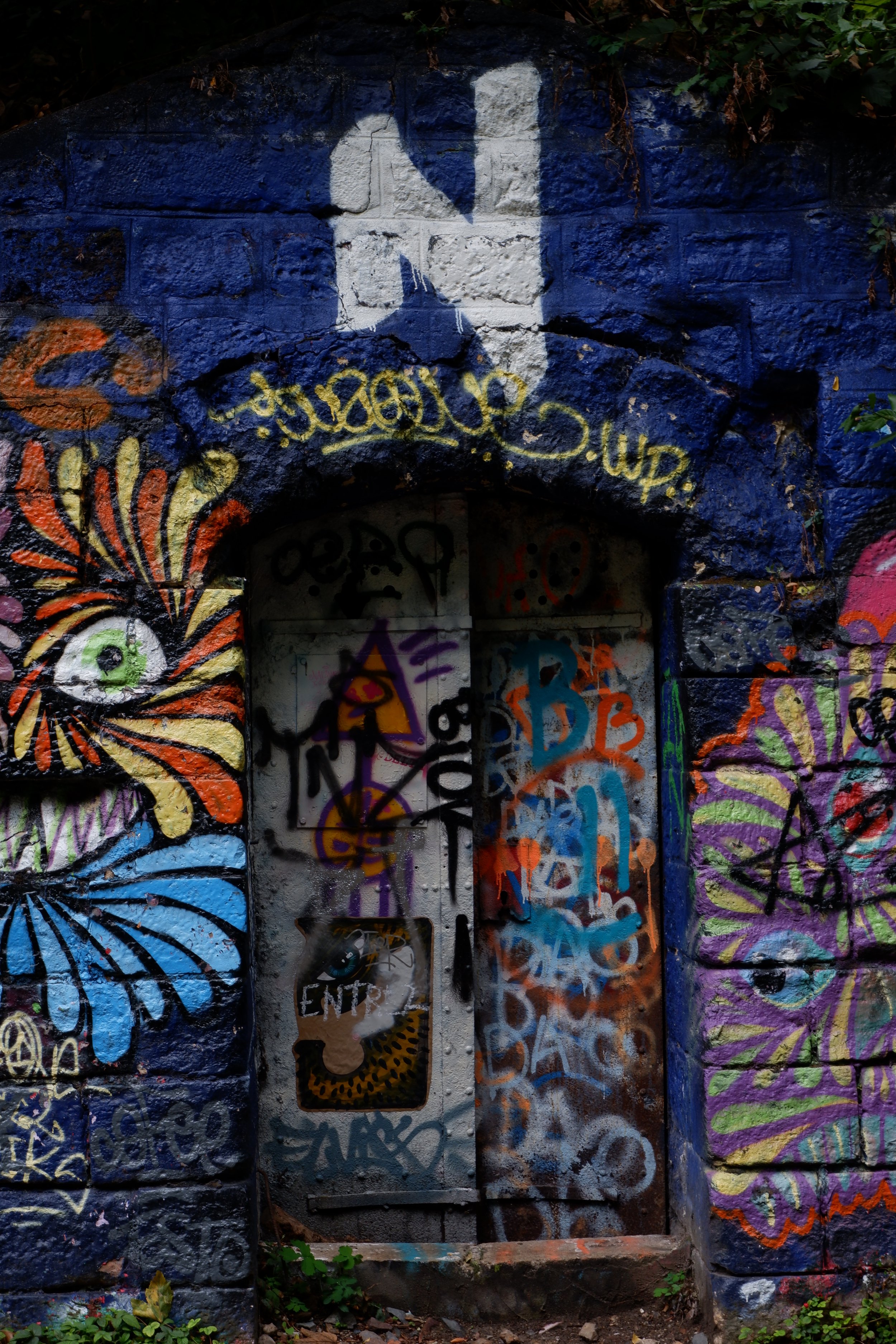 DSCF3754.JPG