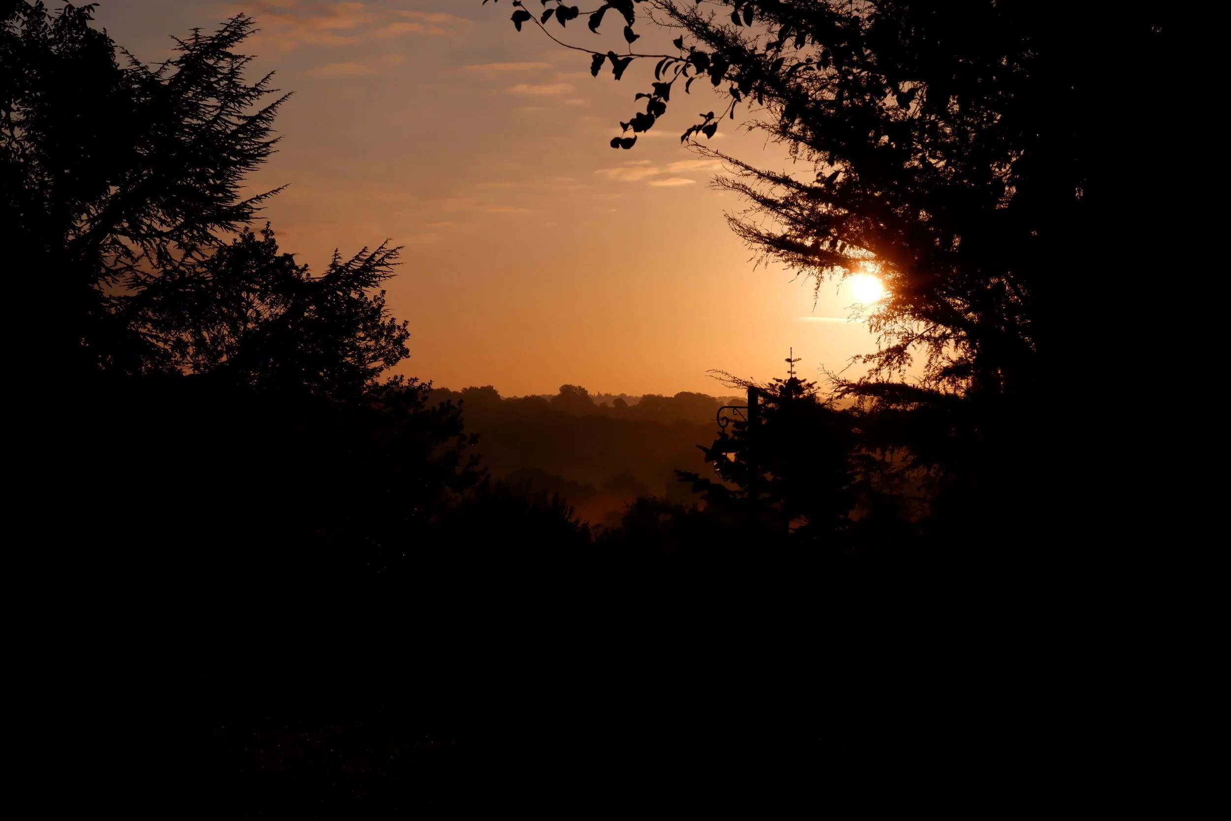 DSCF4086.JPG