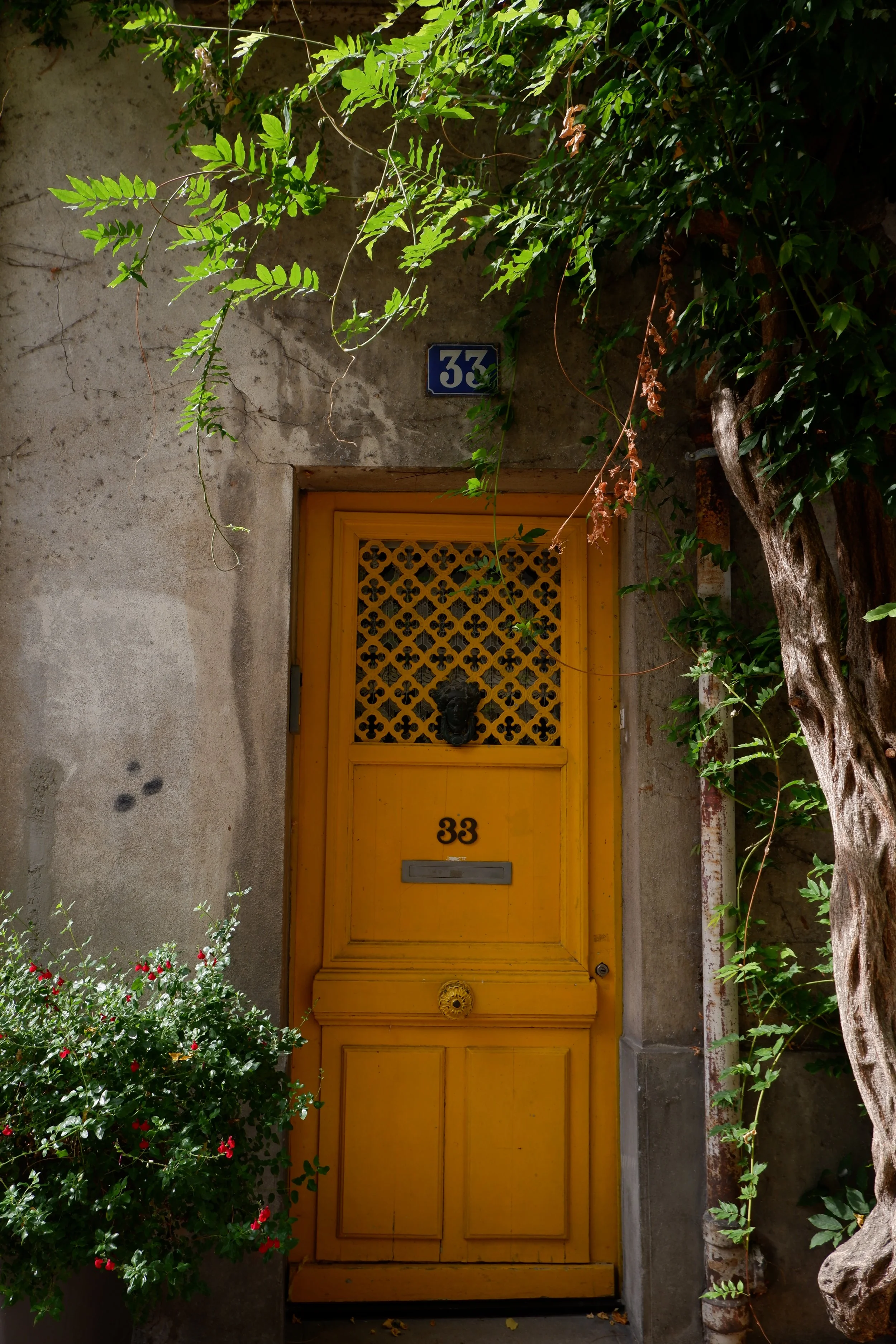 DSCF3769.JPG