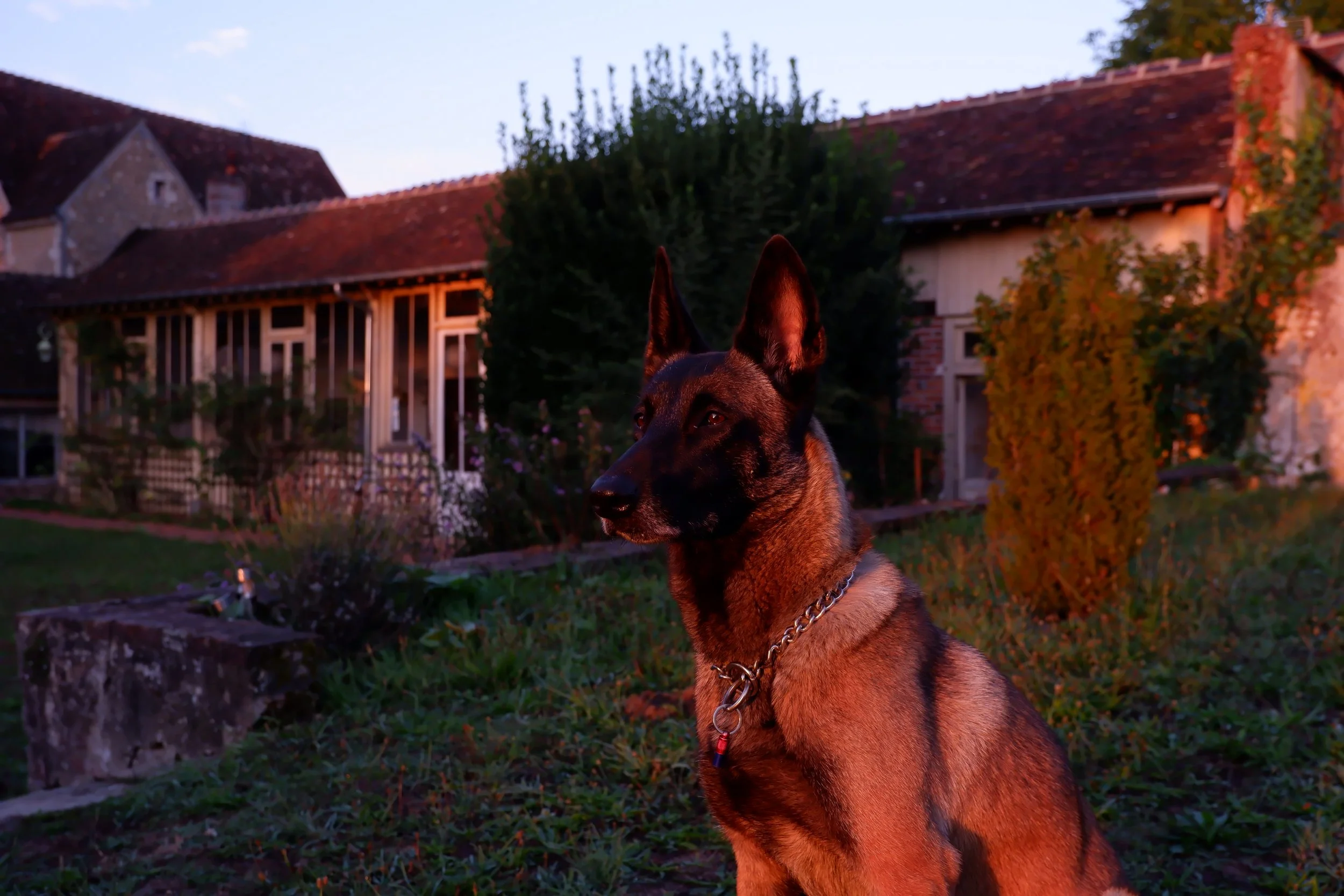 DSCF4072.JPG
