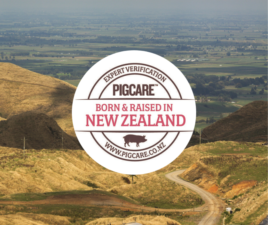 Untitled design (58).png