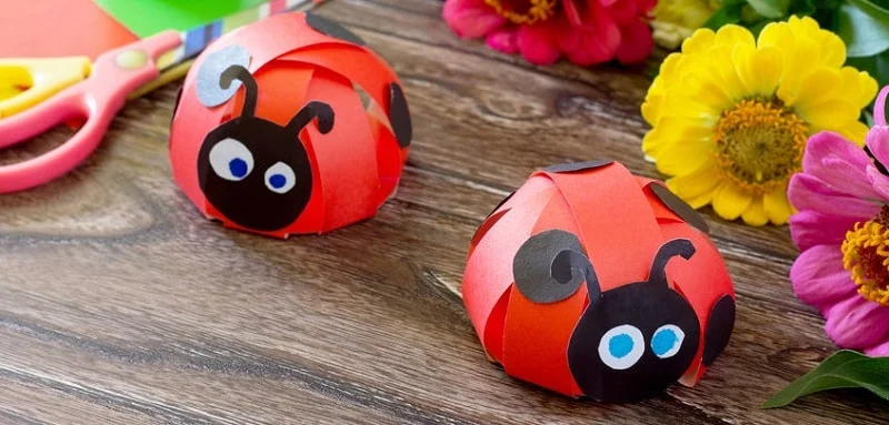 coccinelle-en-papier.jpg