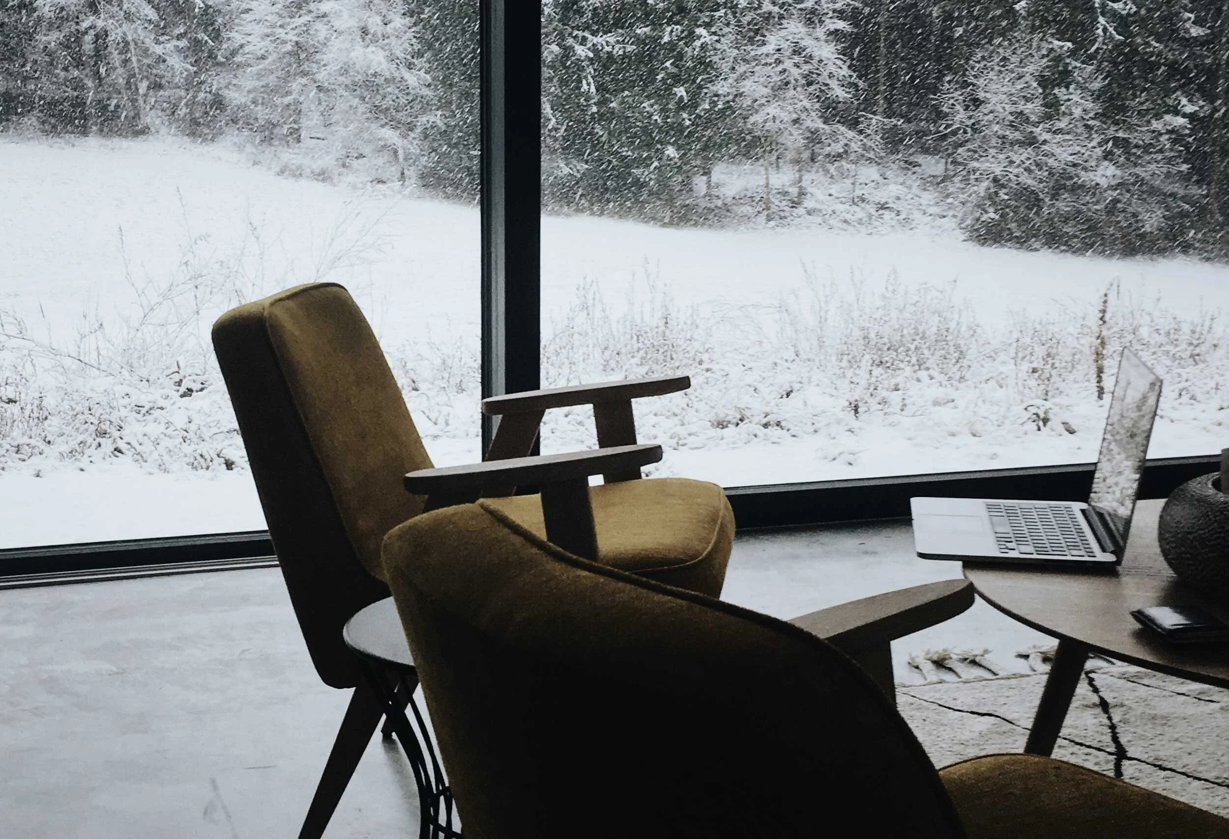 Chair-and-Laptop-in-winter-Summer-Segal-PhD.jpg