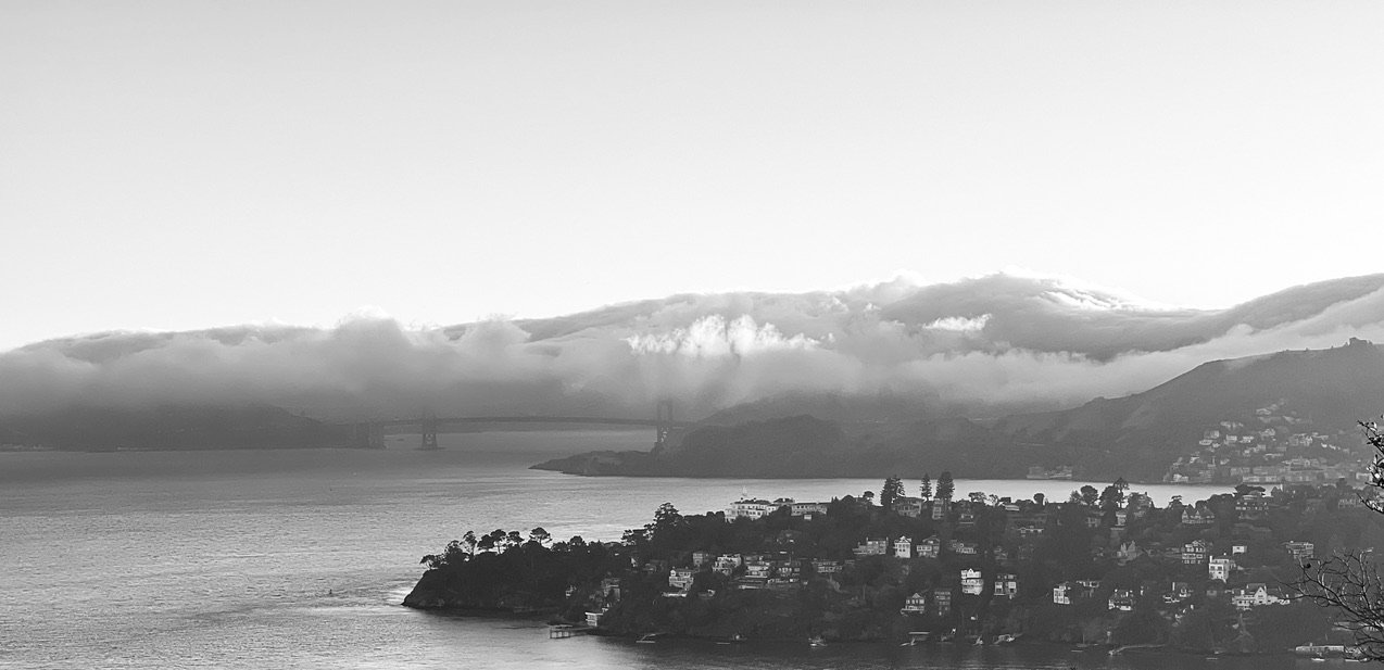 Mid-Century Classics