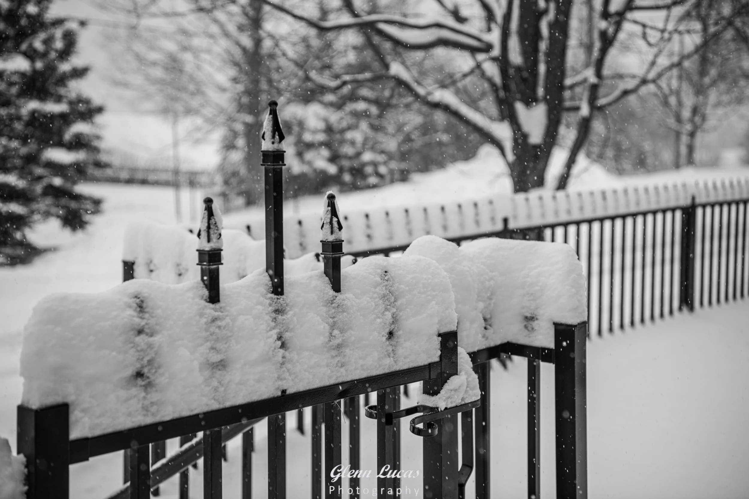 Snow on Fence - Barrie
