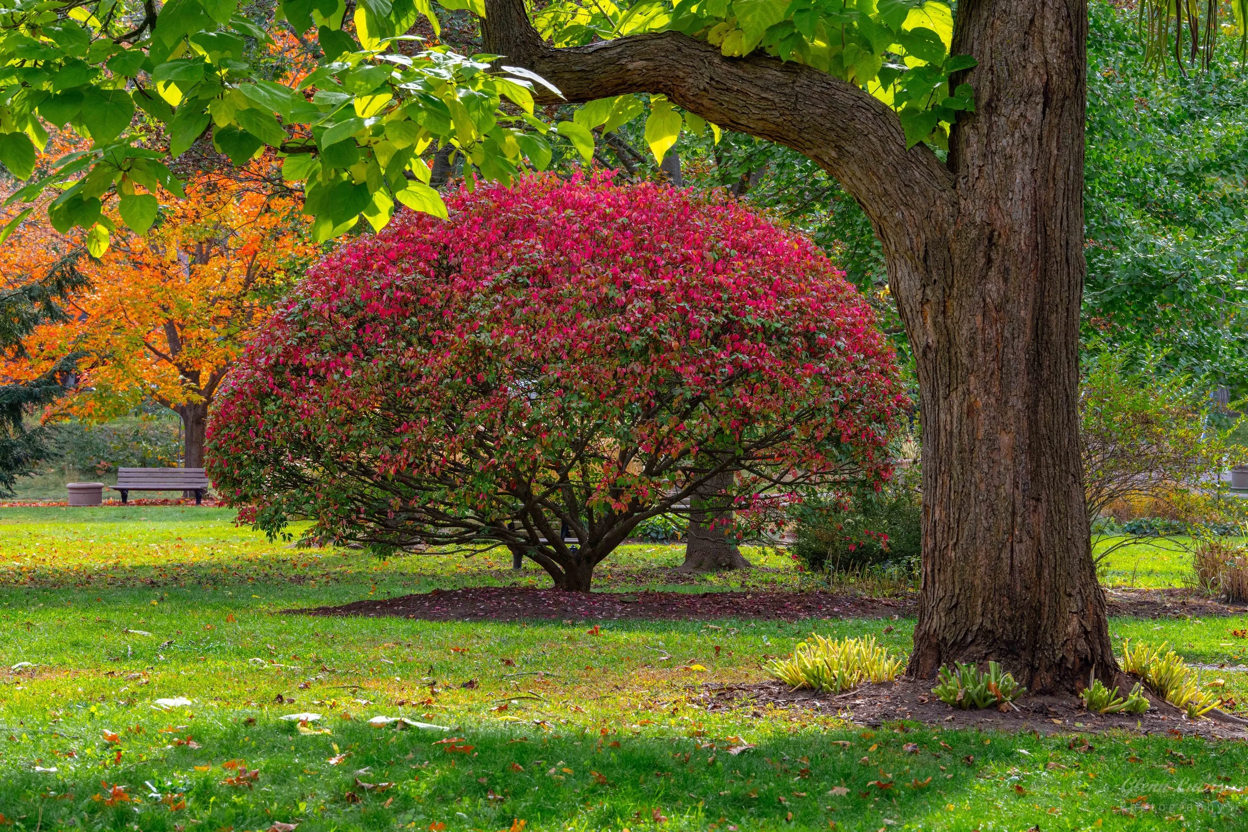 Sunnidale Park - Barrie