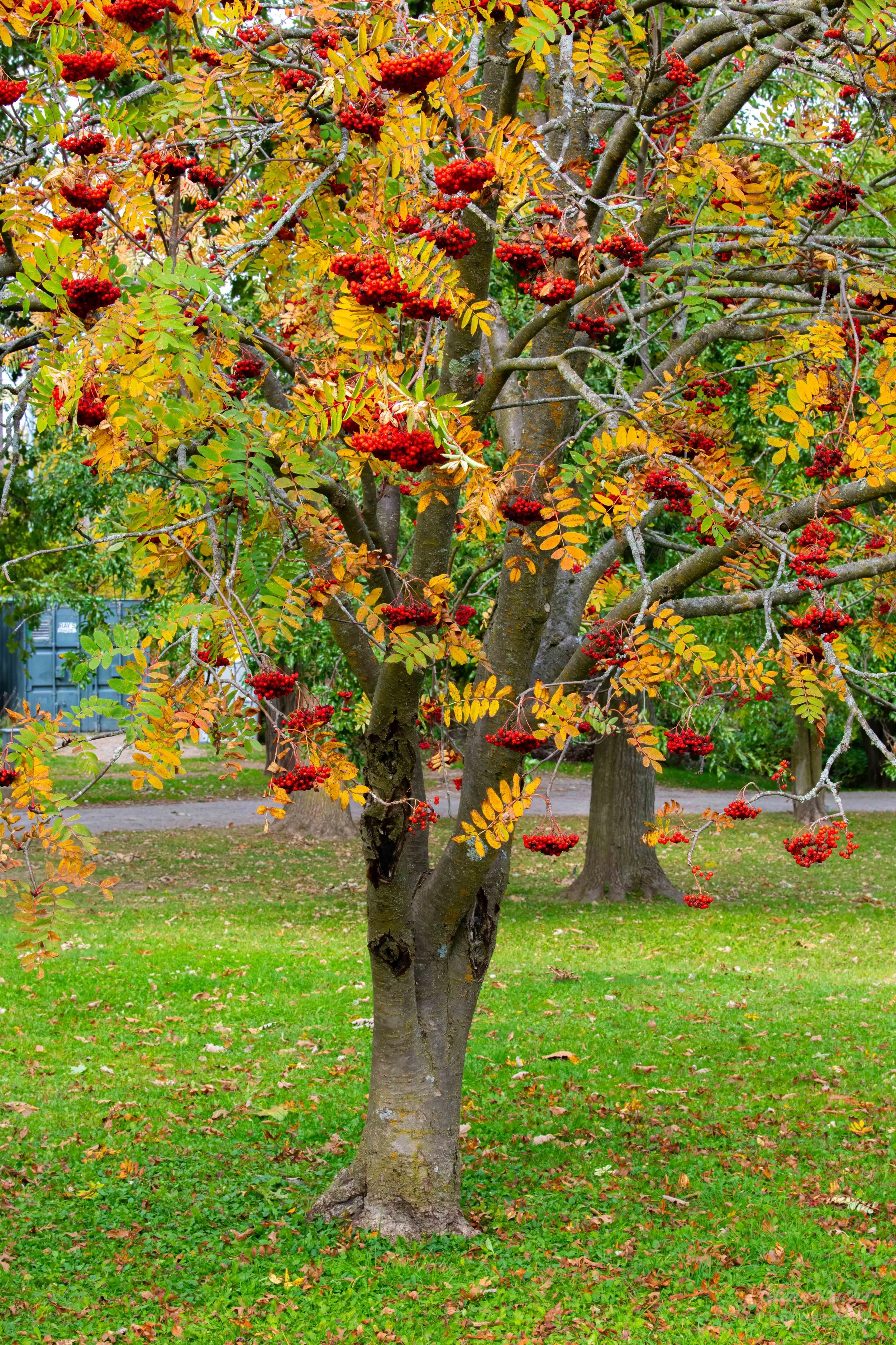 Sunnidale Park - Barrie