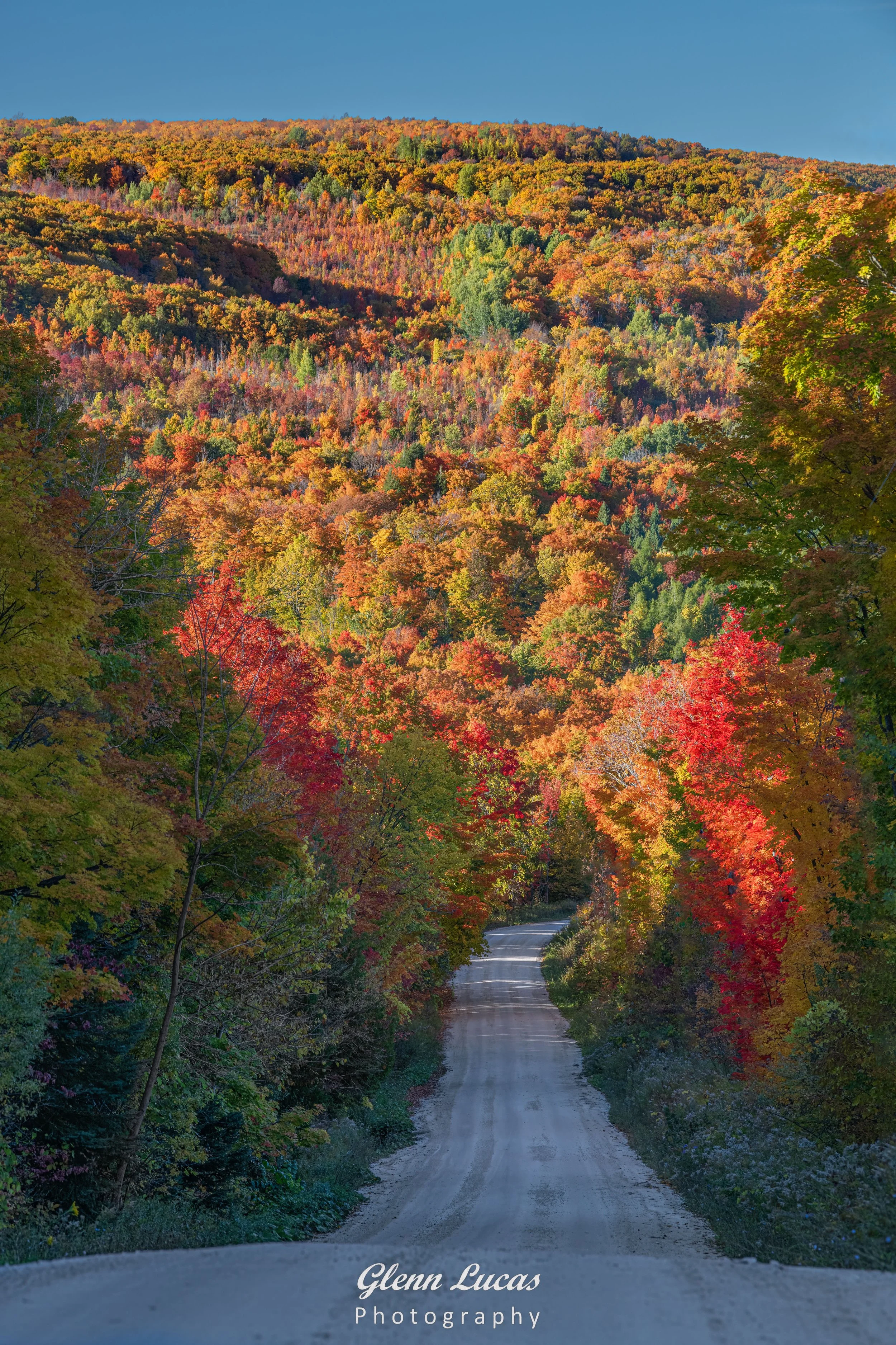 Country Lane - Niagara Escarpment