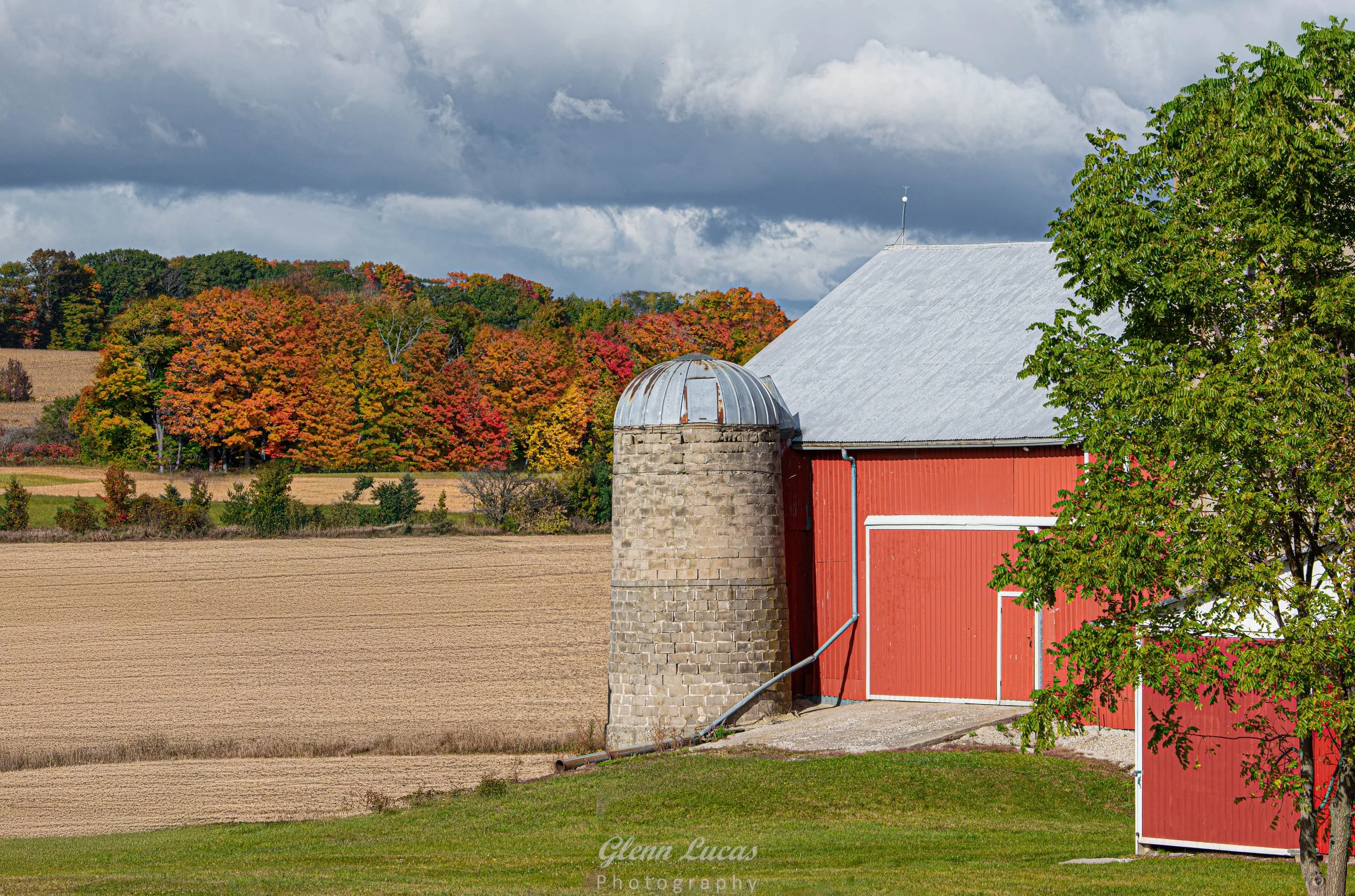 Farm - Springwater