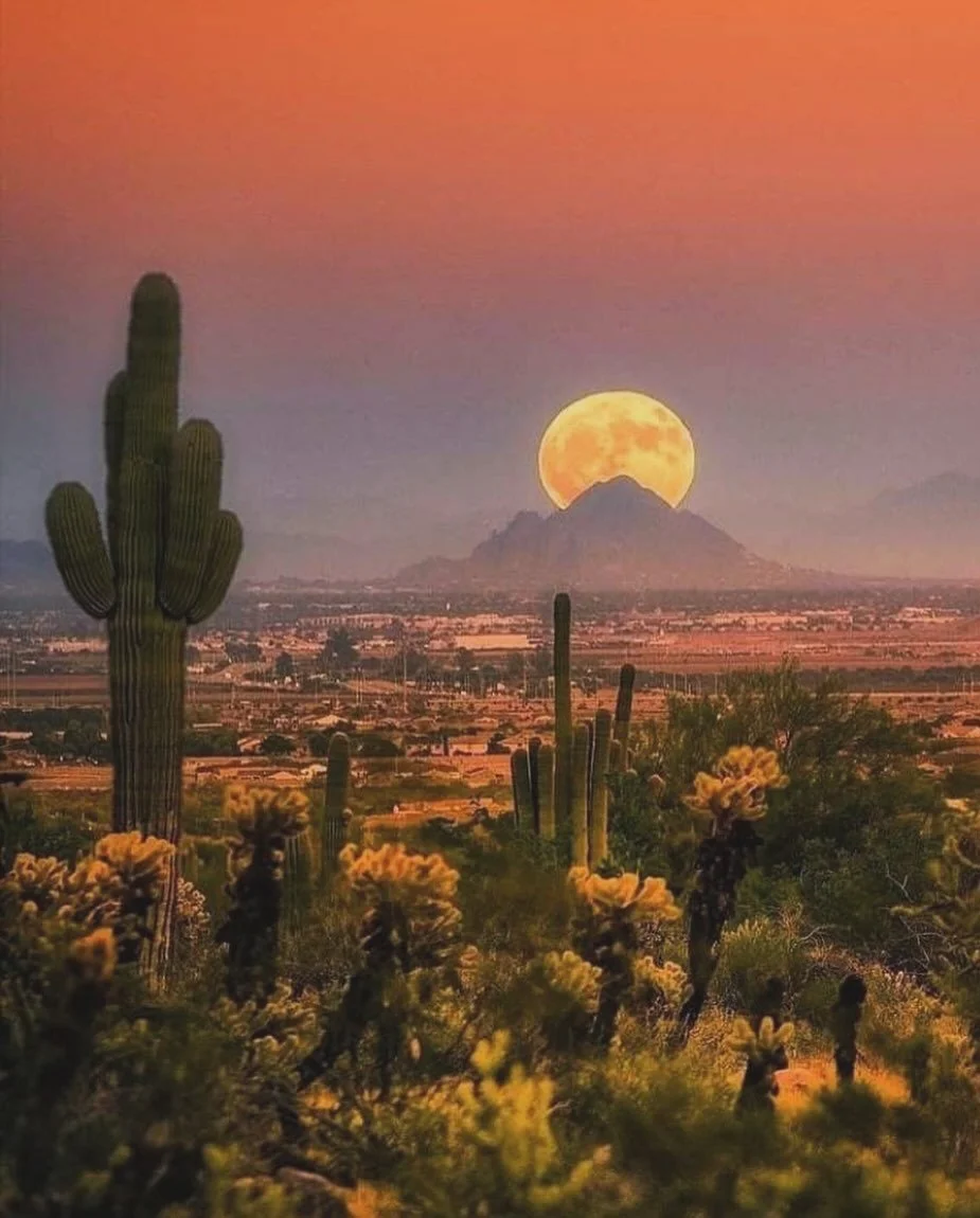 Picture it&hellip; This exact time next year- OUR people with YOUR people,  gathering under this vast orange Arizona sky. Mark your calendars for a Salt Yoga Retreat like no other! 🌄🌵🧂🧘🏼&zwj;♂️🙏

🗓️ Dates: October 20-25, 2026 
📍 Location :@so