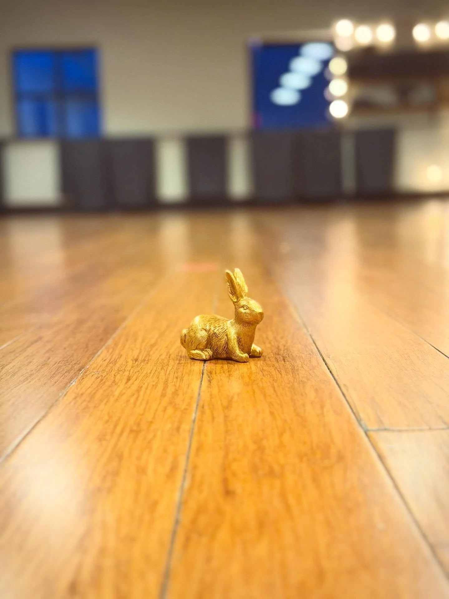 Guys, we never close our studios. BUT, this Sunday is one of them! No in studio classes-but we will be virtual! Sign up for a FREE prerecorded Salt class- the audio recording will be sent to your email for you to flow to now or, keep and save to do l