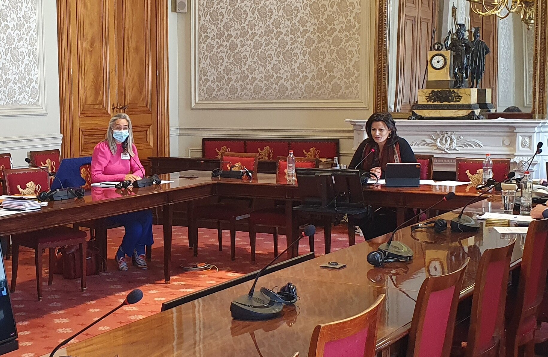 Evelyne Maes as a constitutional specialist in the Senate
