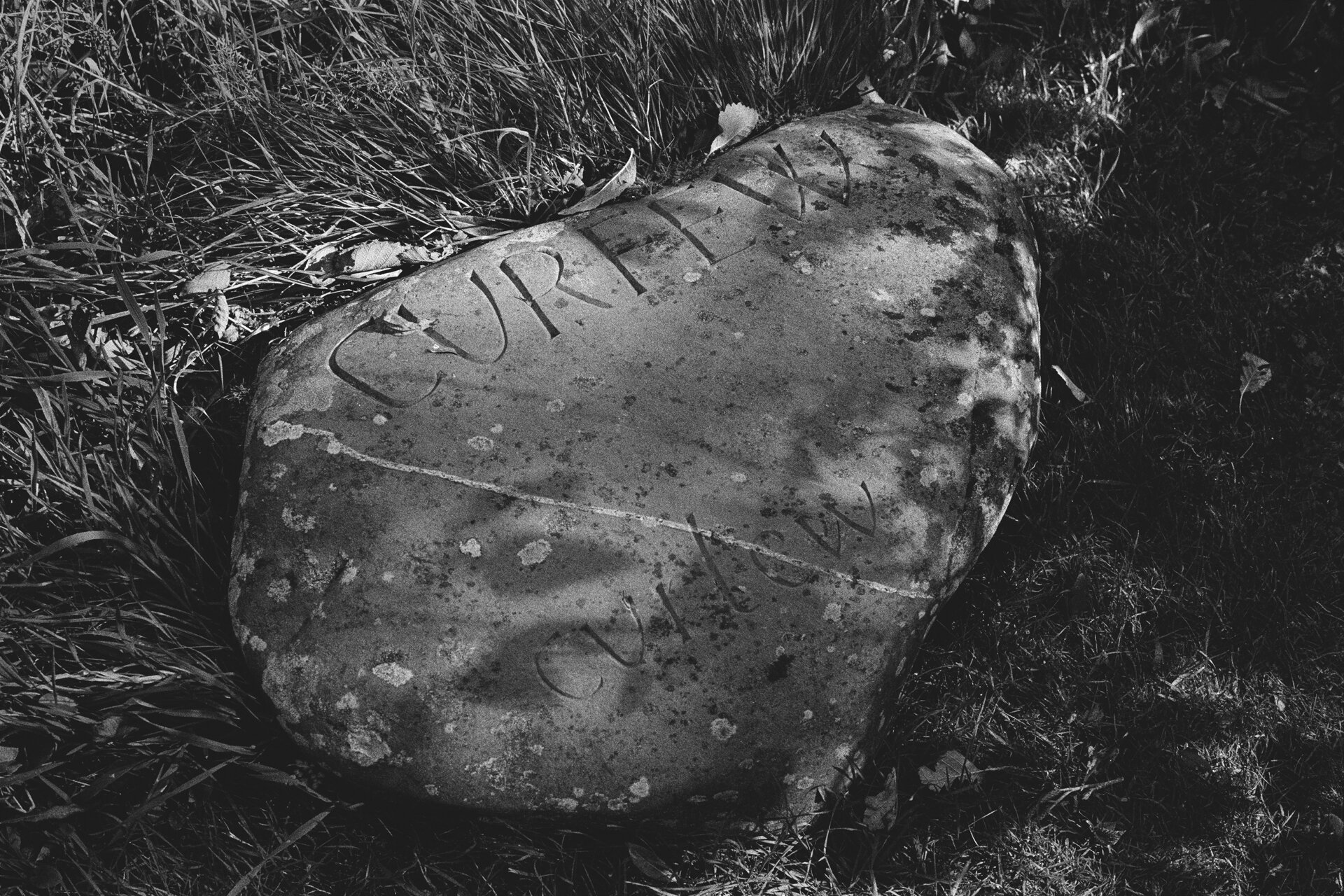 Scan004_edit.jpg
