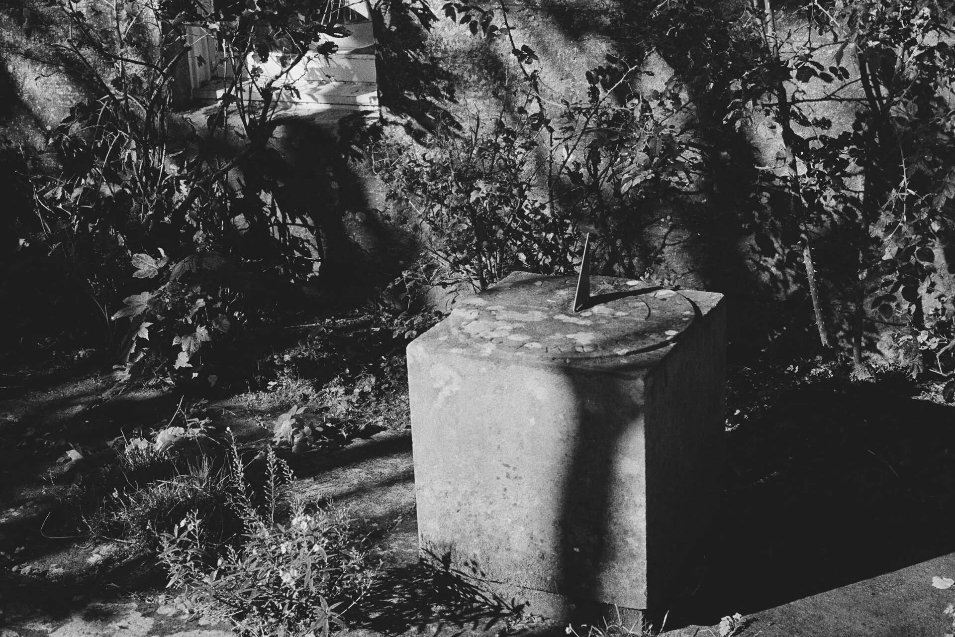 Scan007_edit.jpg