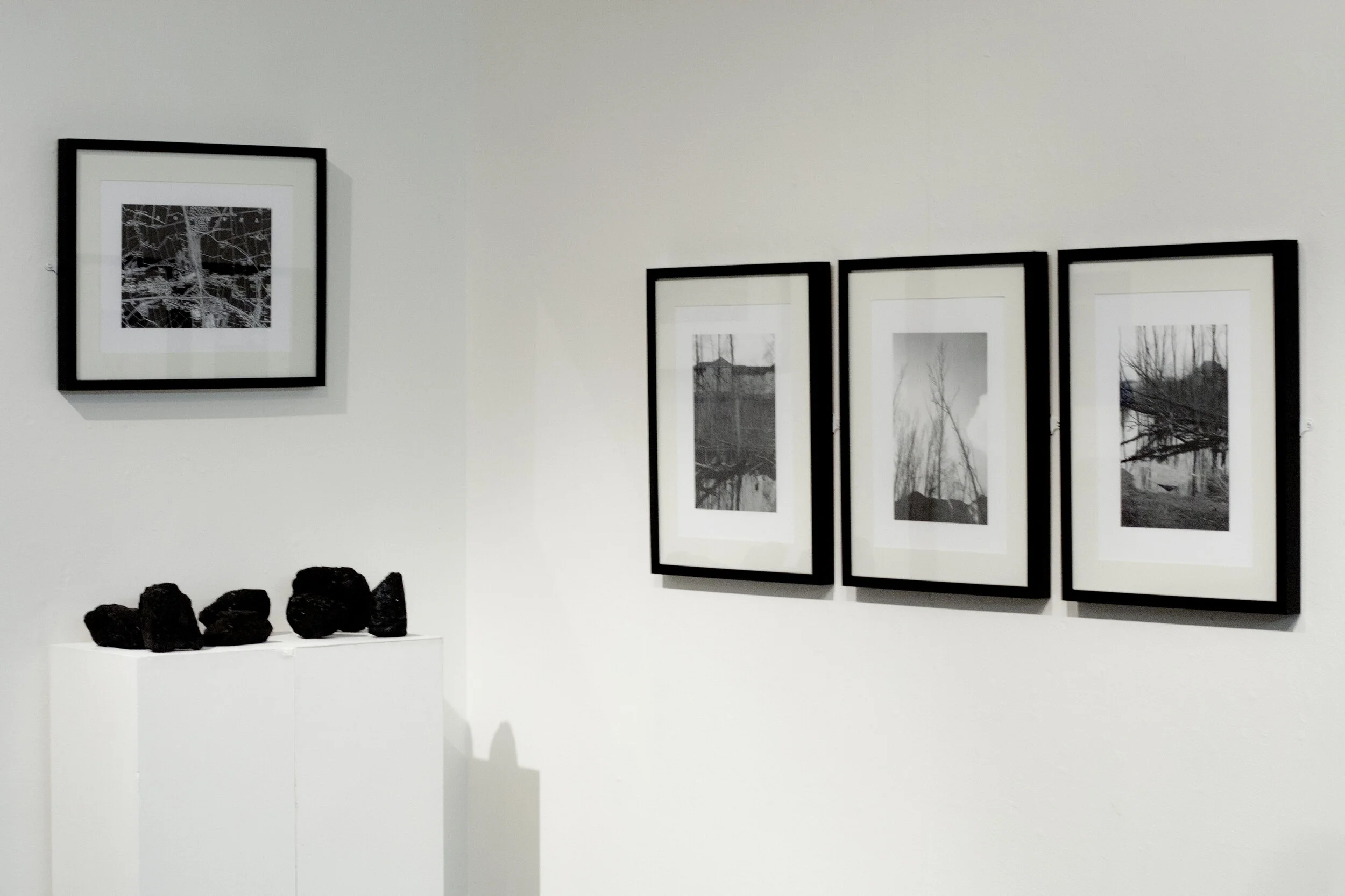 _MG_0009.jpg