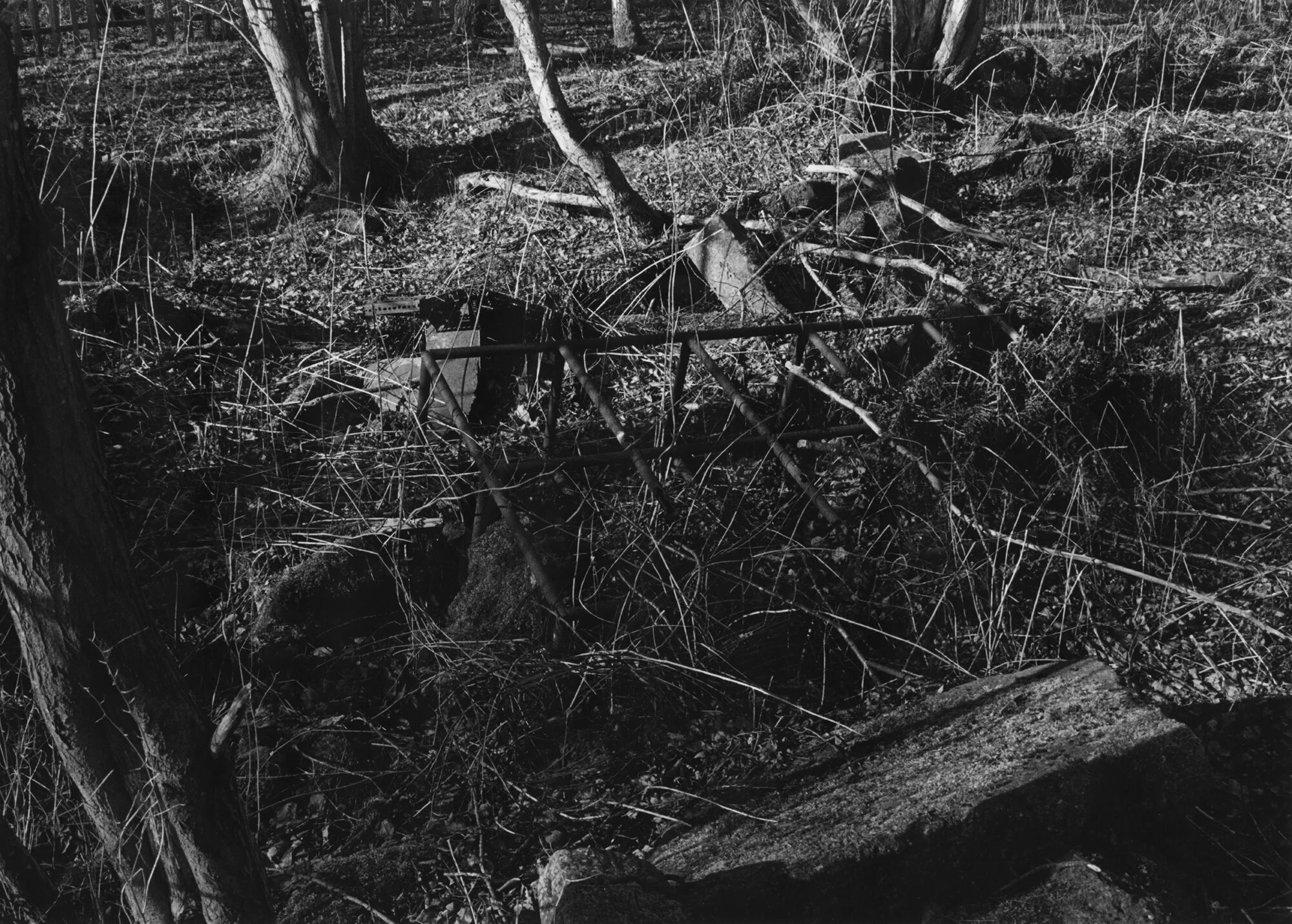 Young Team Silver Gelatin Print 50.5 x 40.3cm