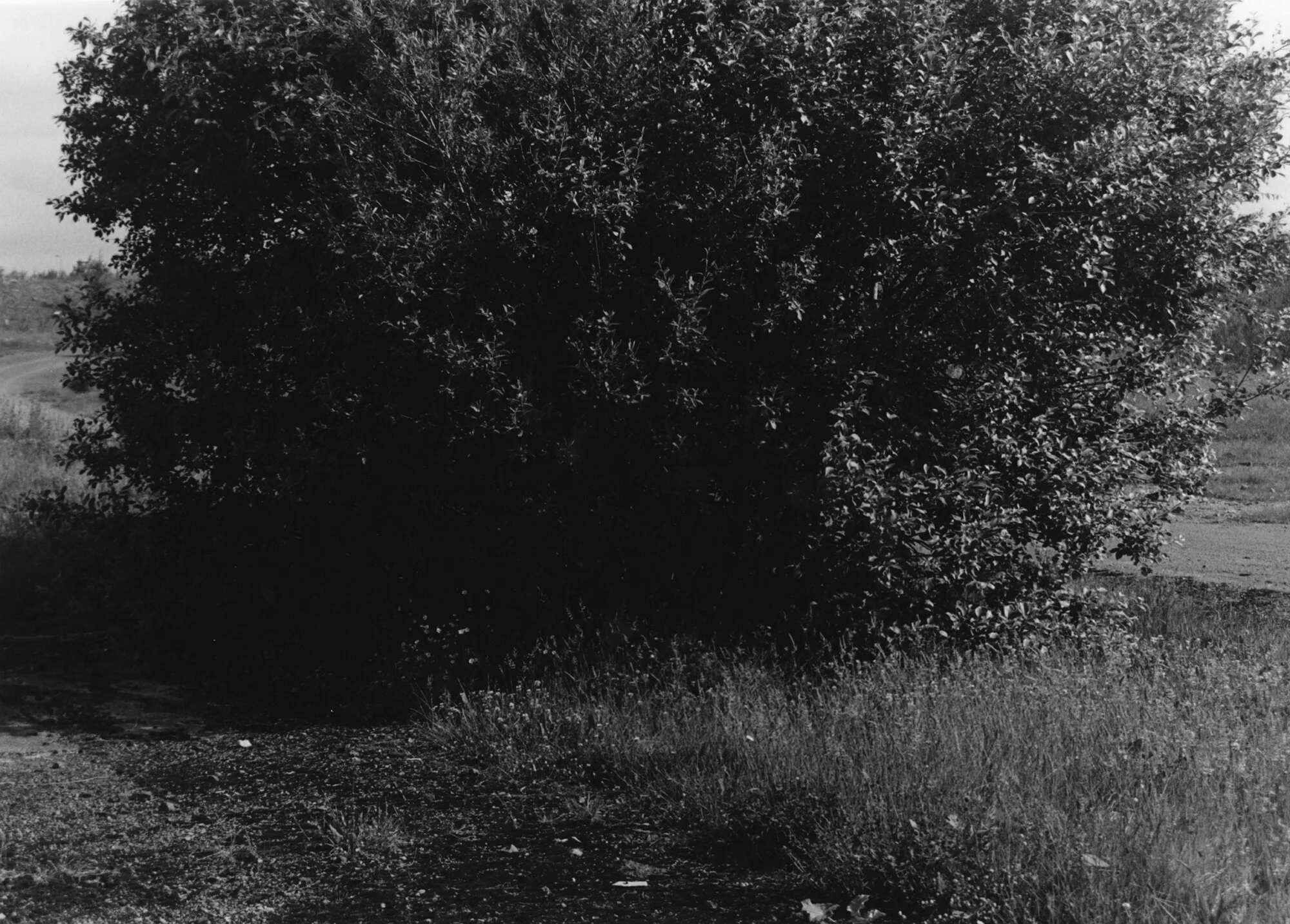 Beacon Silver Gelatin Print 50.5 x 40.3cm