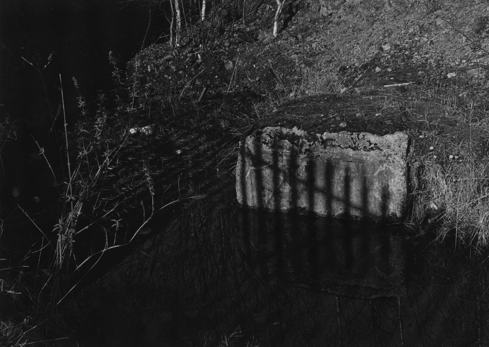 Spectre II Silver Gelatin Print 50.5 x 40.3cm