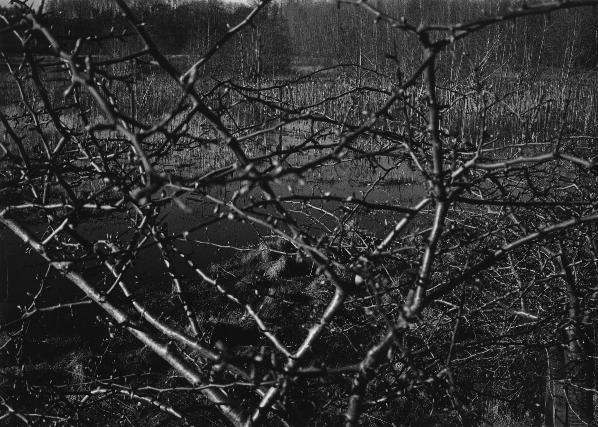 Inhabited Land Silver Gelatin Print 42 x 37cm