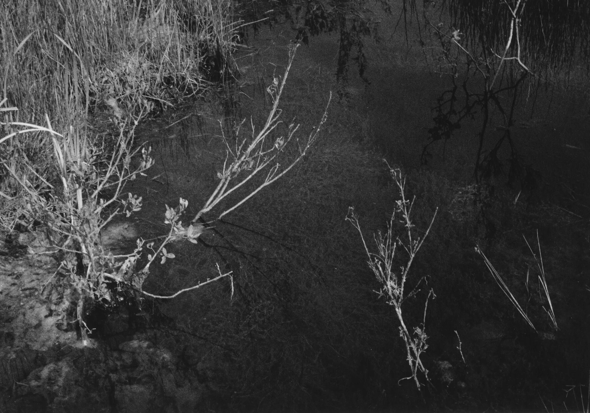 Rendered Harmful Silver Gelatin Print 42 x 37cm