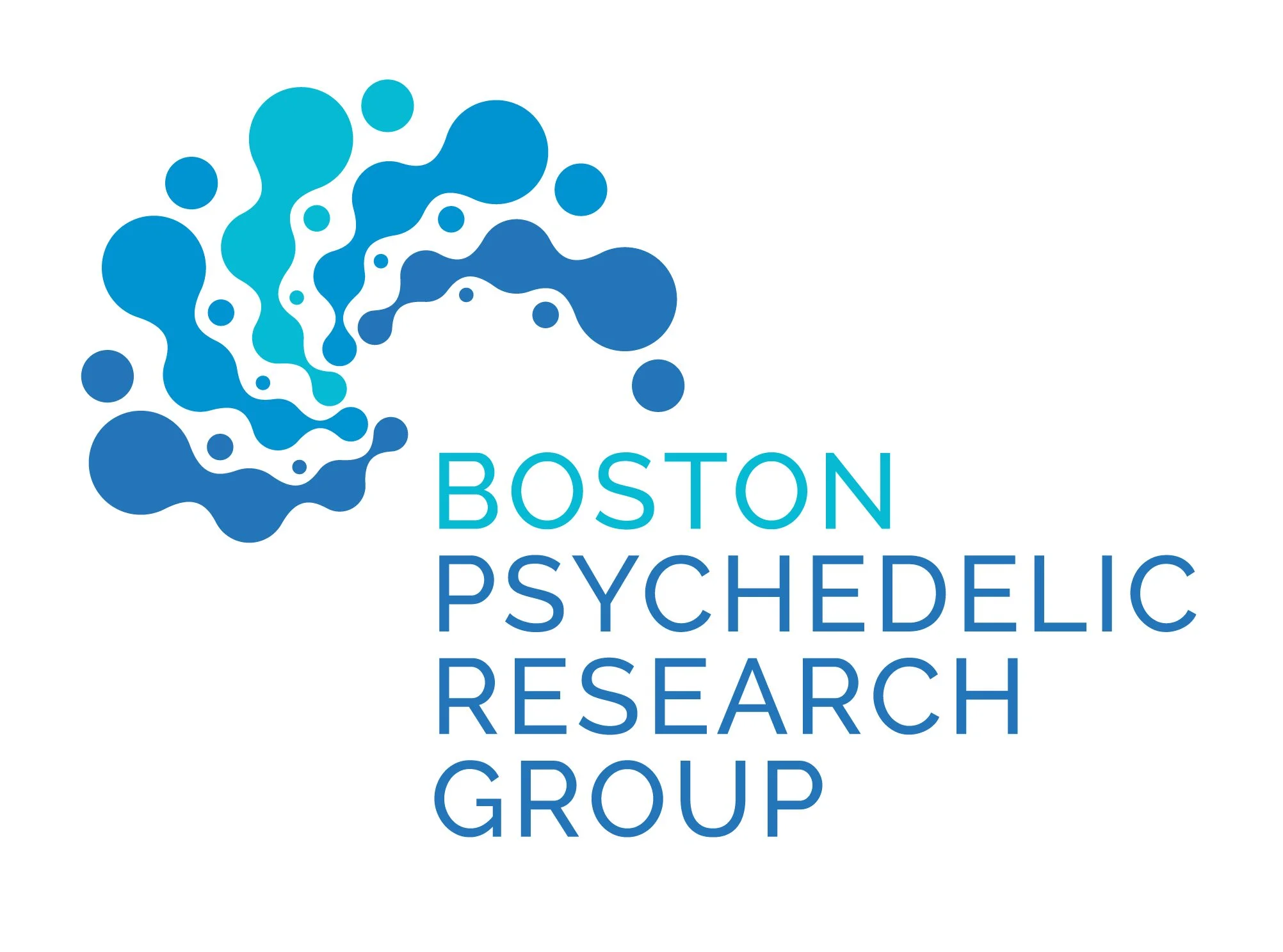 bprg_logo_color.jpg
