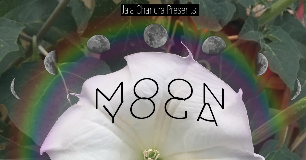 Moon Yoga in the Park