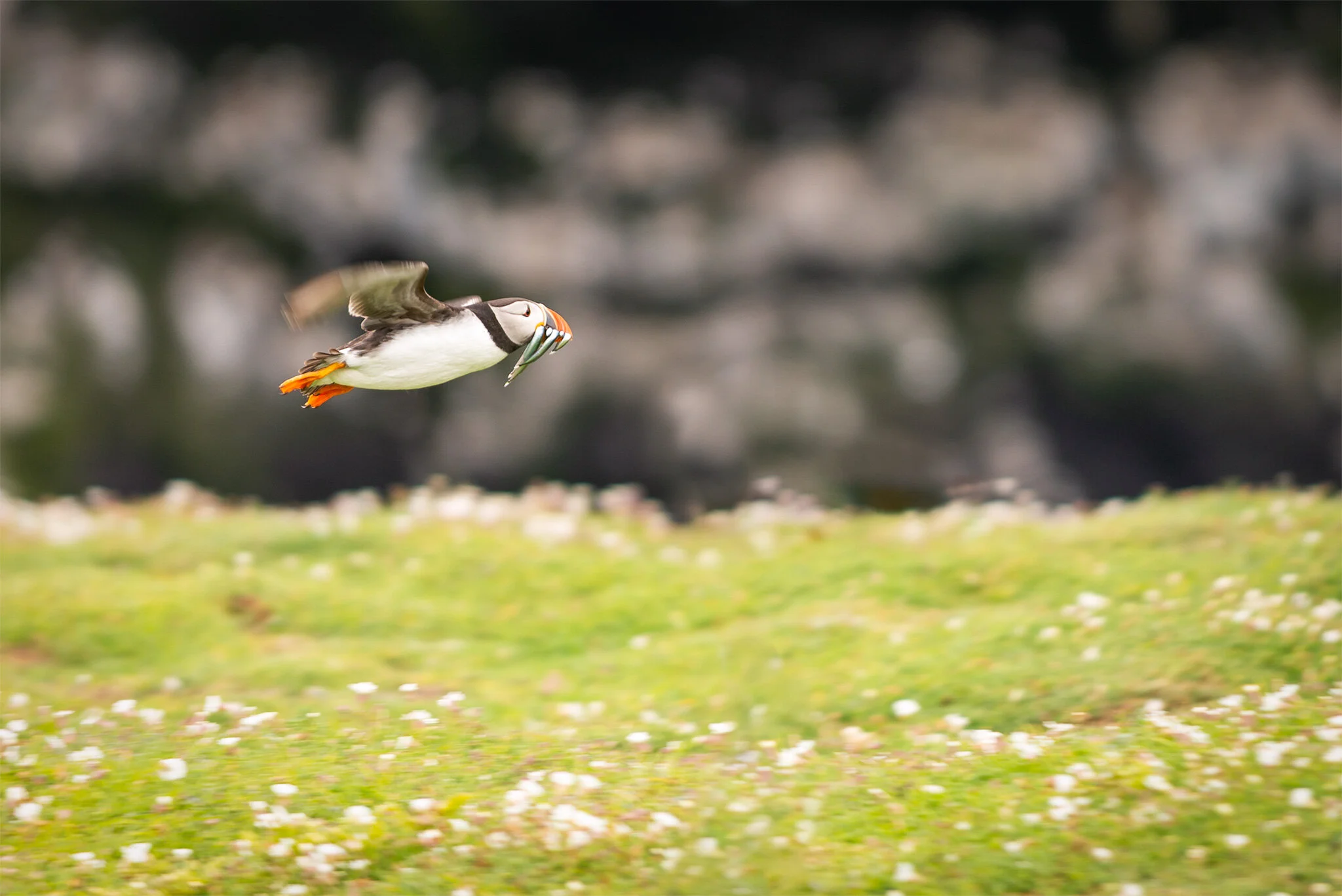 Flight