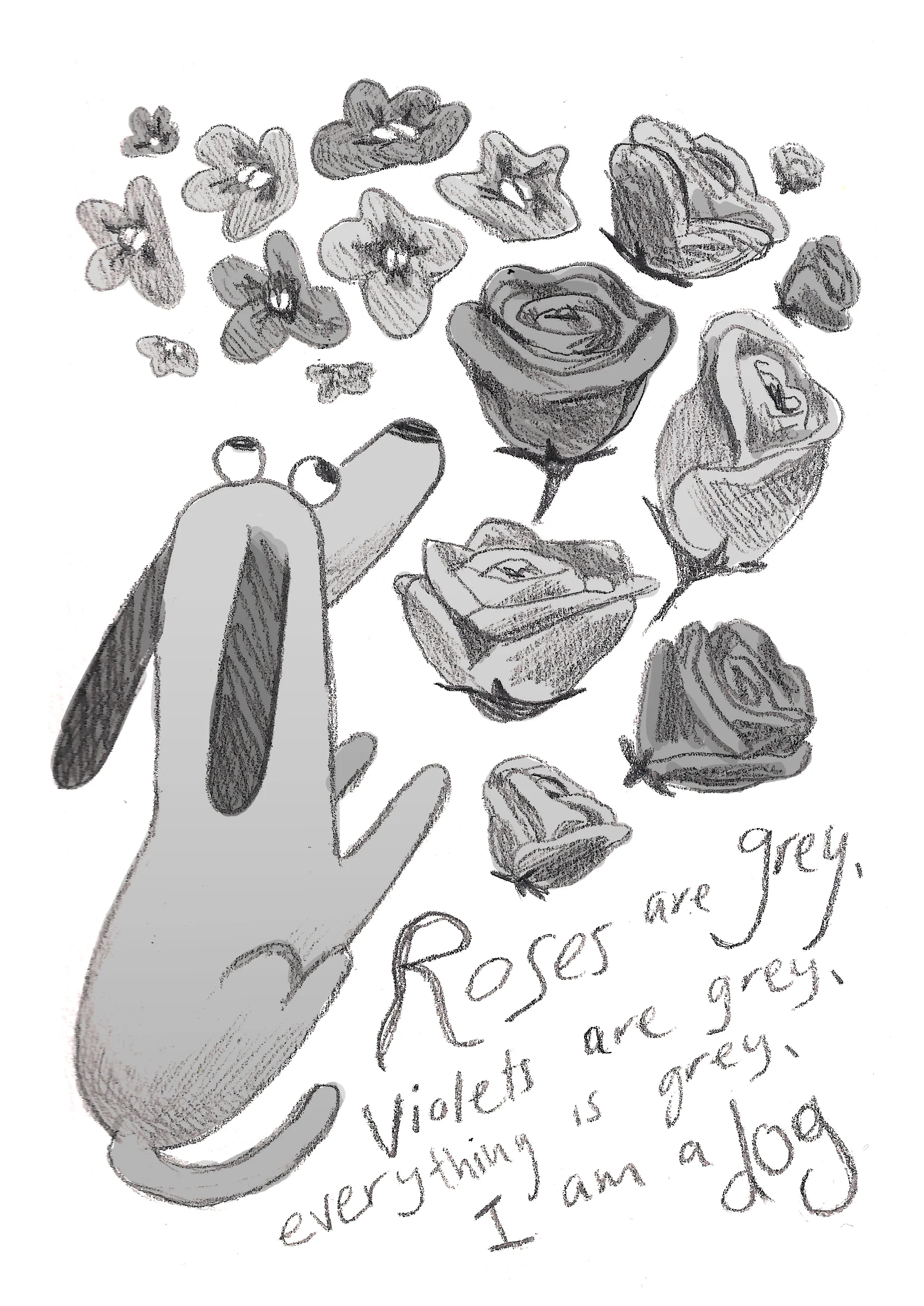 greyscaledog.jpg