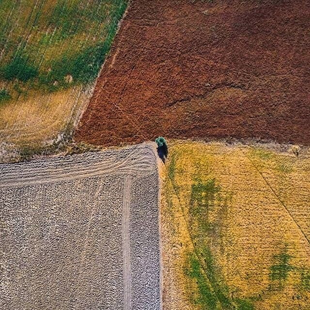 ETTARI

Thanks @jester86fb for the amazing pic!
#unettaro #microfarming #lemarche #farmlife #farming #agrifood #agriculture #slowfood #campi #campagna #countryside #organicfarming #lines #geometry #naturalgeometry