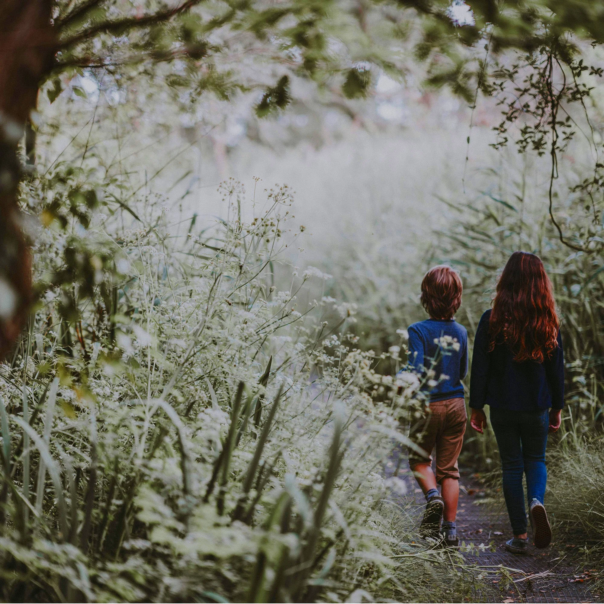 Untitled-2_0000_annie-spratt-709287-unsplash-min.jpg
