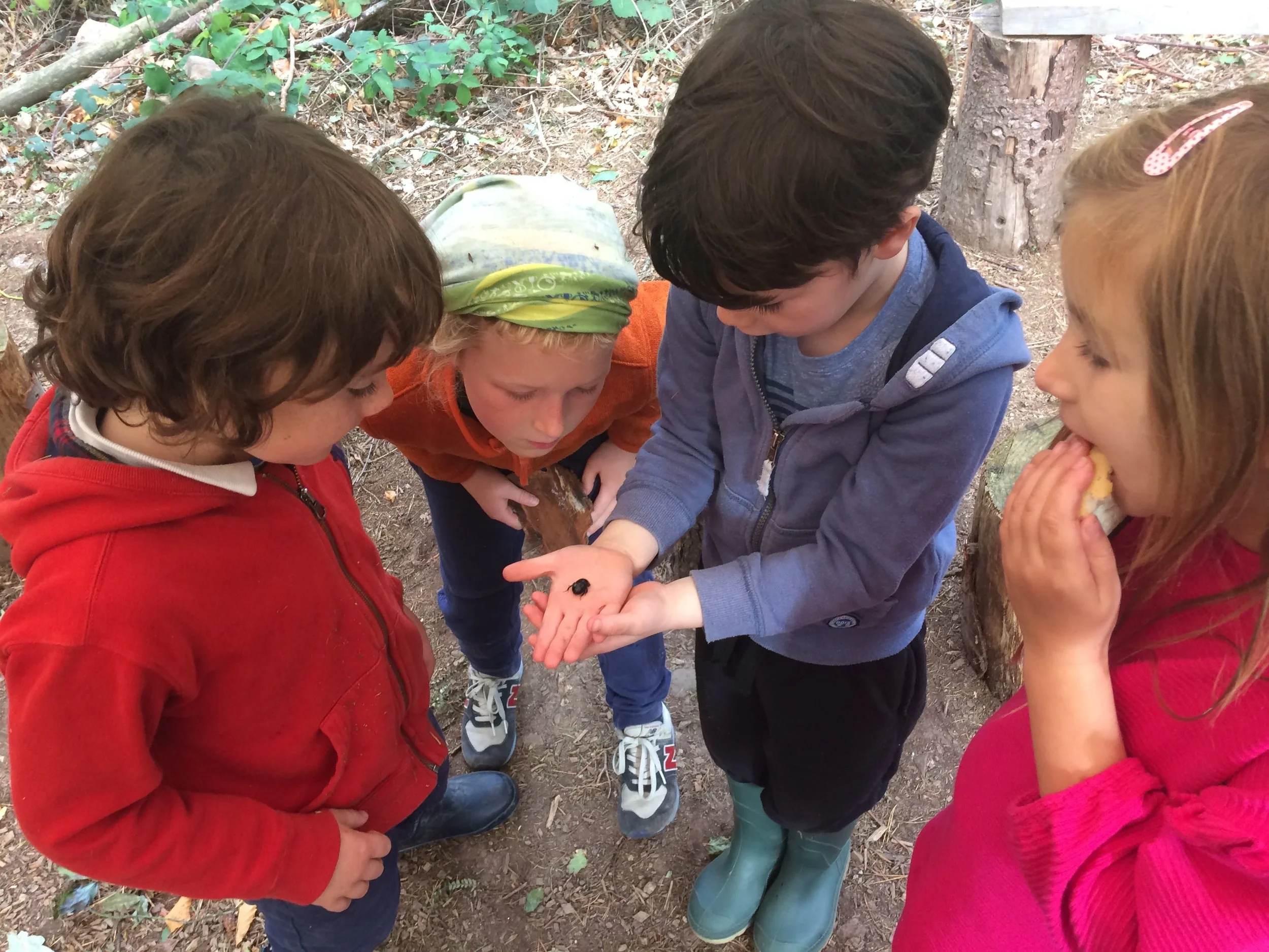 Activities page the exploration and discovery of nature-min.jpg